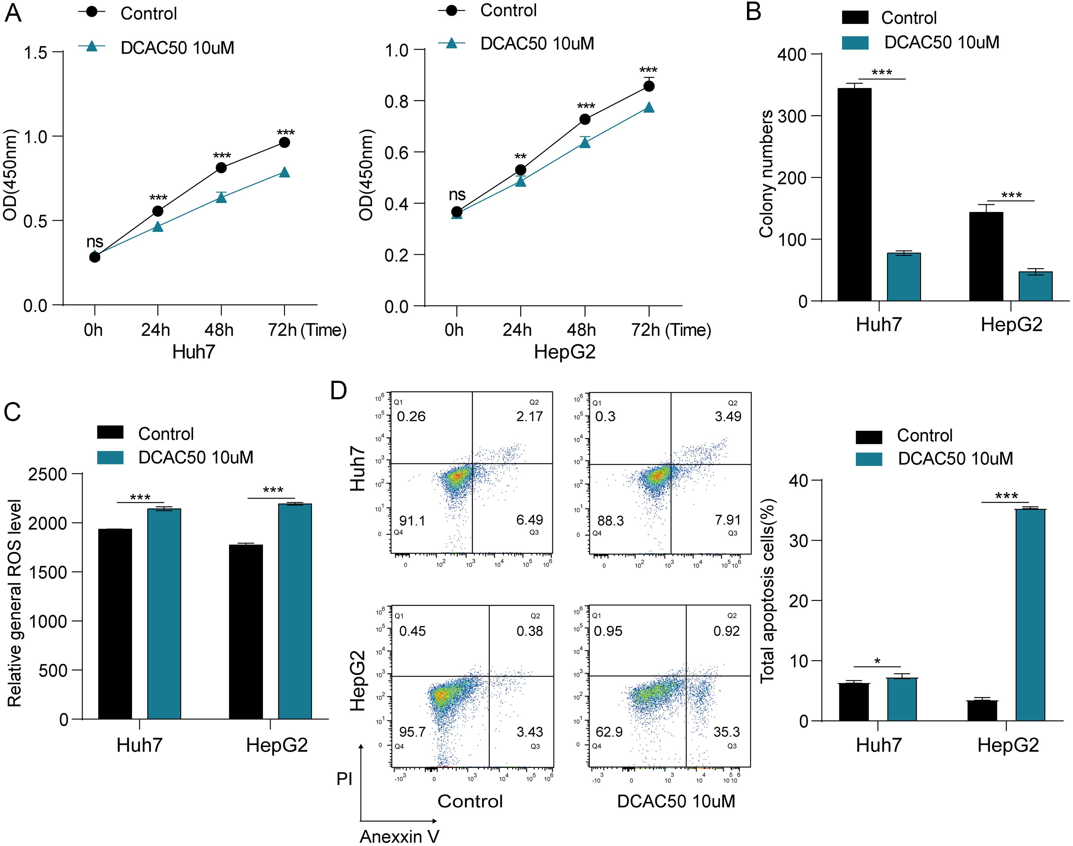 DCAC50 affected proliferation, intracellular ROS levels, and apoptosis in HCC cells.