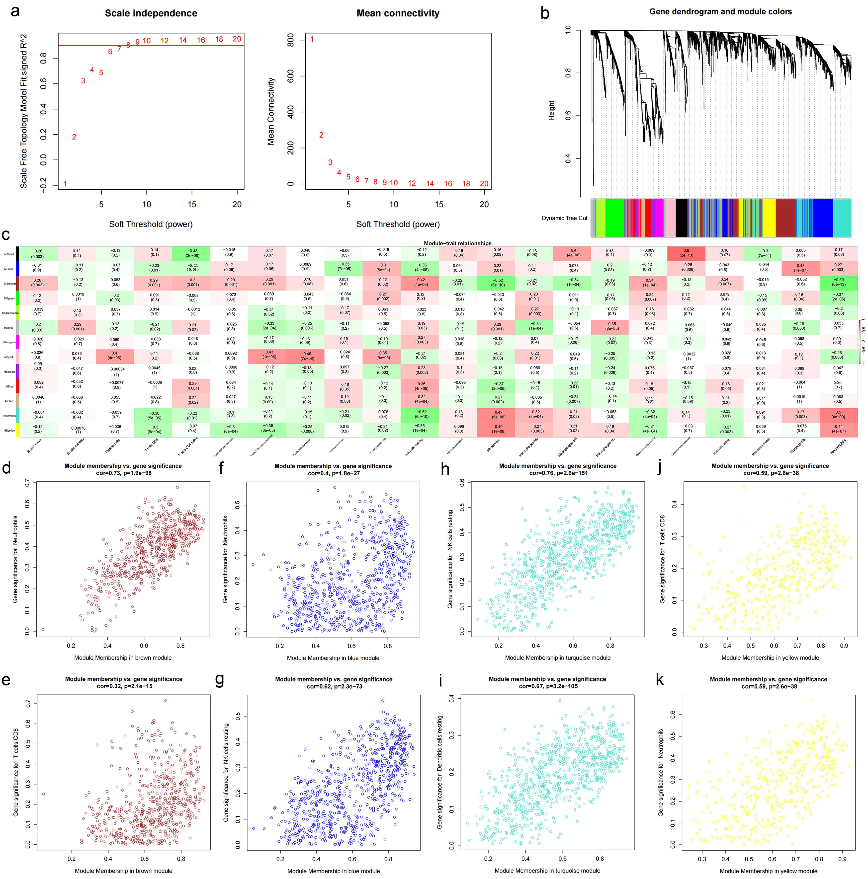 Weighted gene co-expression network analysis (WGCNA).