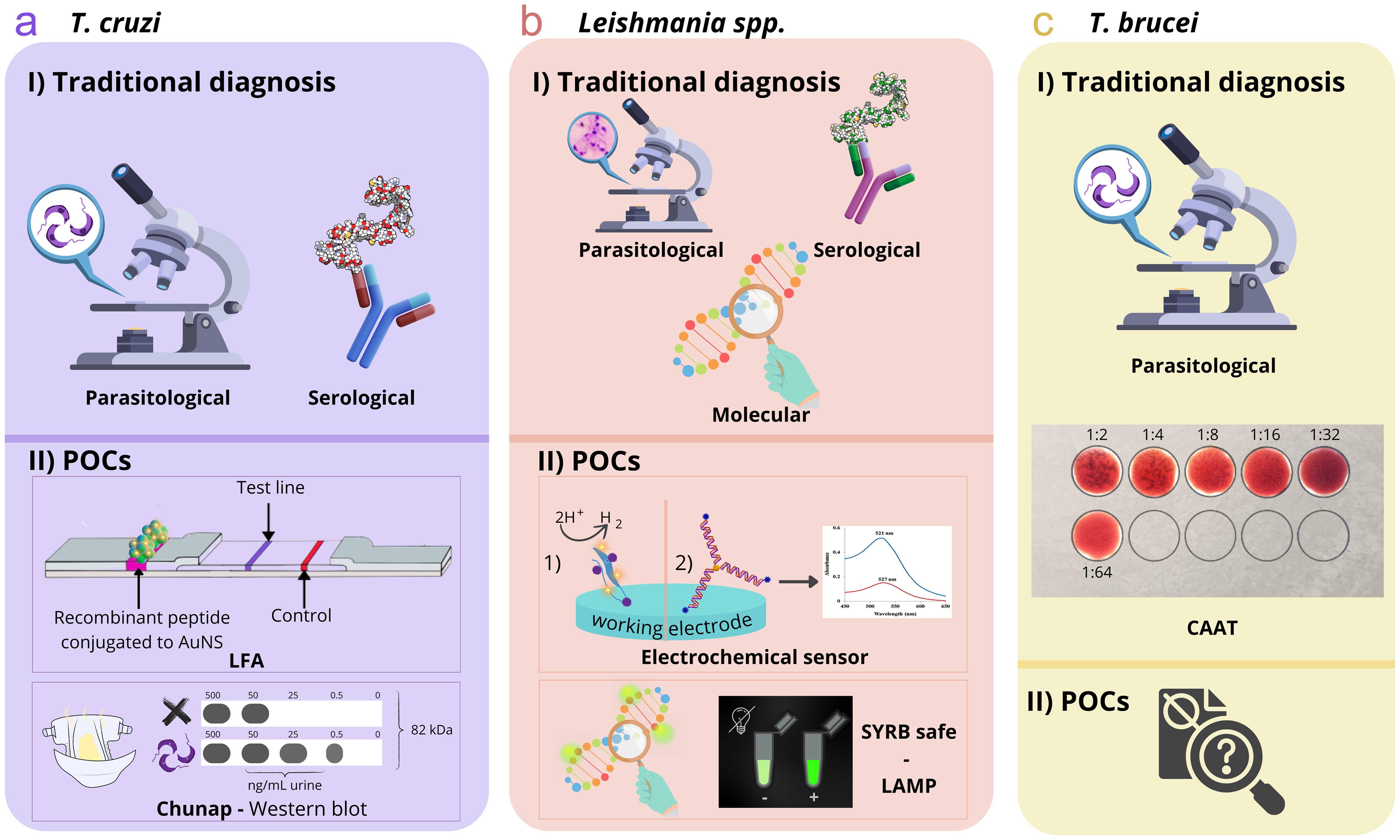 Traditional Diagnosis and New POCs for Diseases Caused by <italic>Trypanosoma cruzi, Leishmania</italic> spp., and <italic>Trypanosoma brucei</italic>.