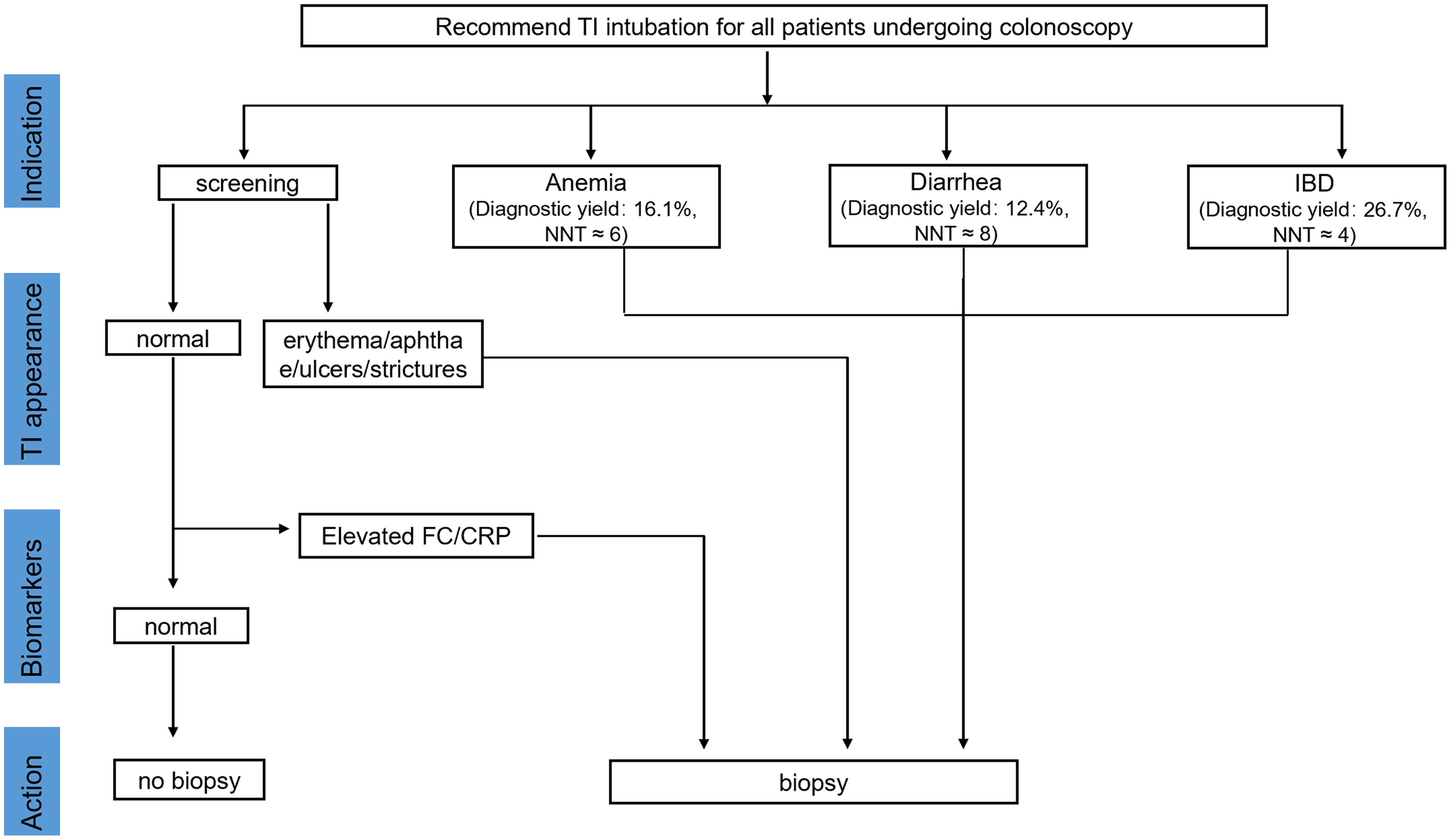 Clinical decision algorithm for terminal ileal intubation and biopsy.