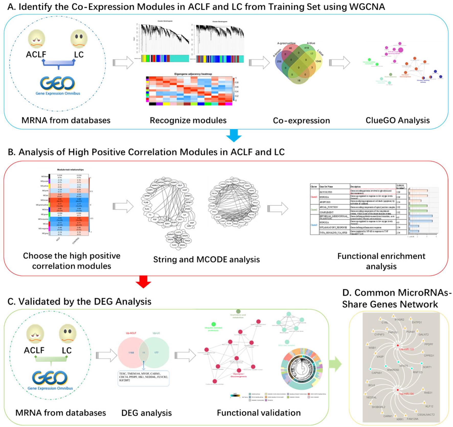 The flowchart of data analysis.