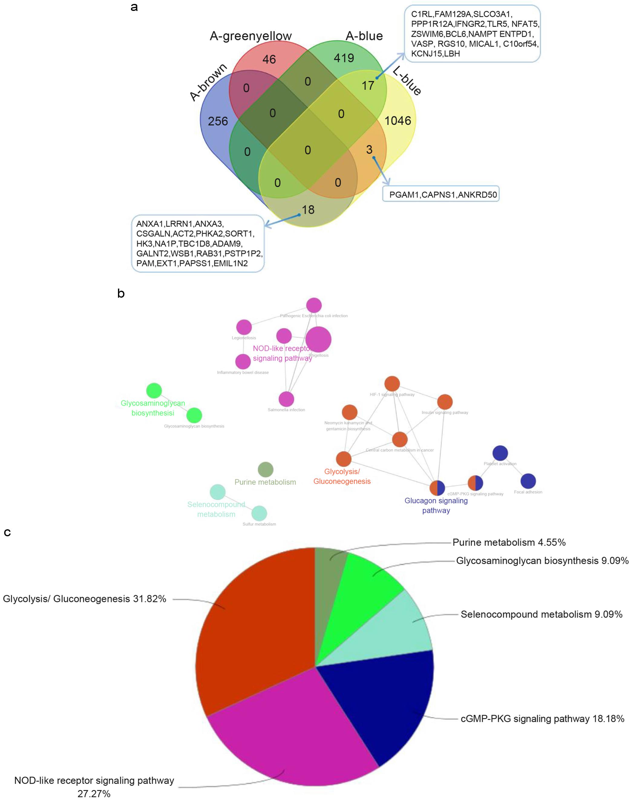 Shared gene signatures in ACLF and LC and their functional analysis.