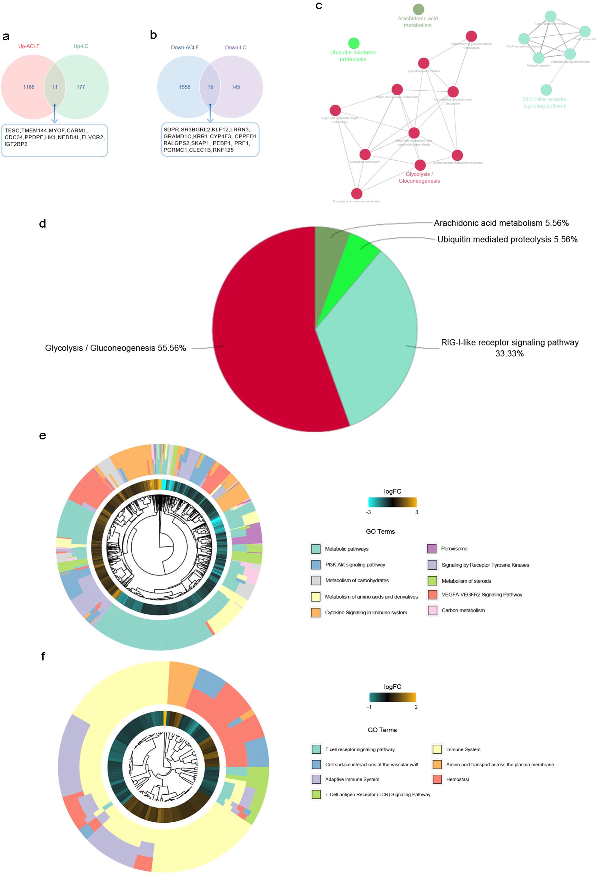 Results of DEG analysis in the validation group.