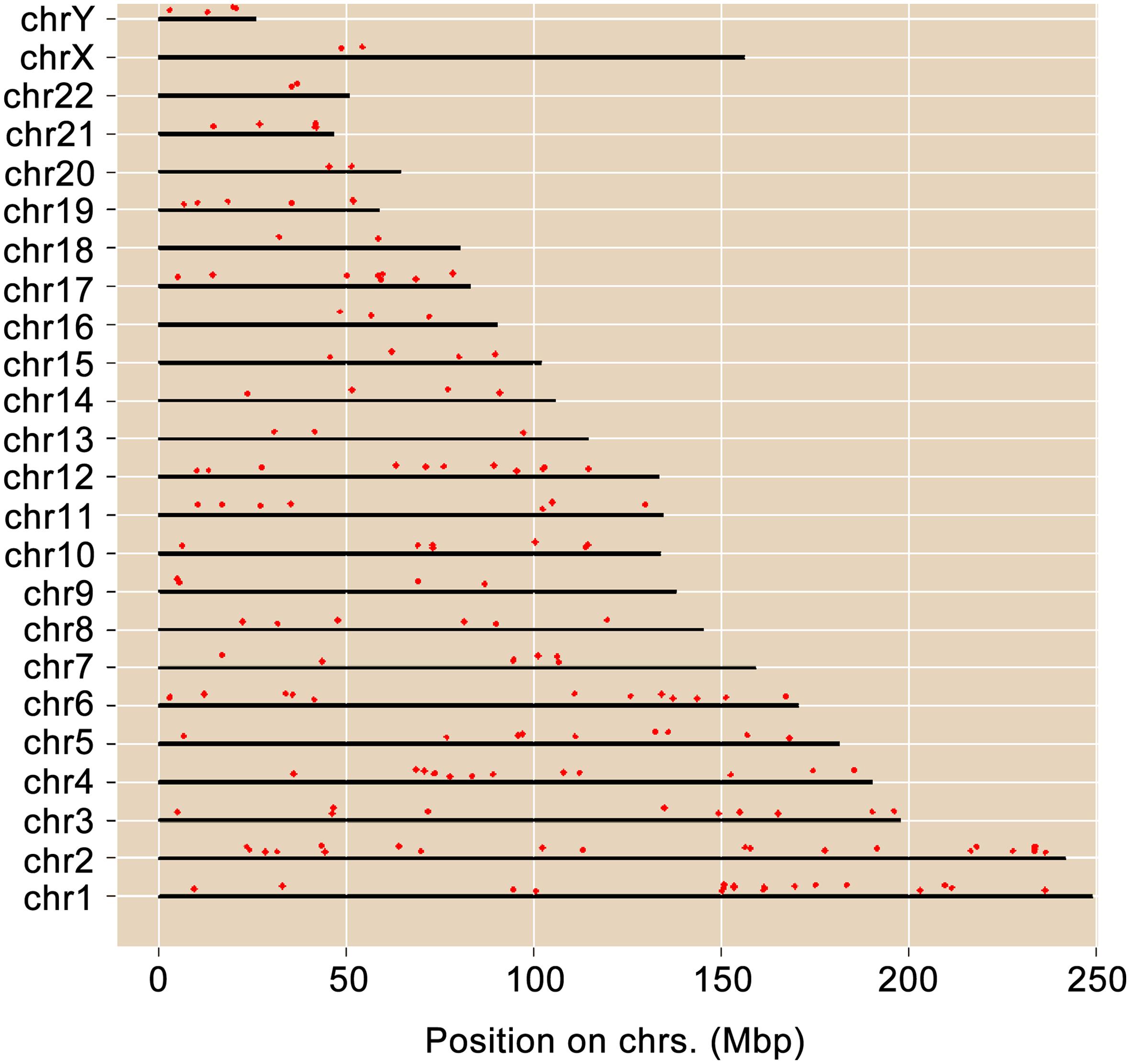 Distribution of DEGs on different chromosomal loci using the ShinyGO enrichment tool.