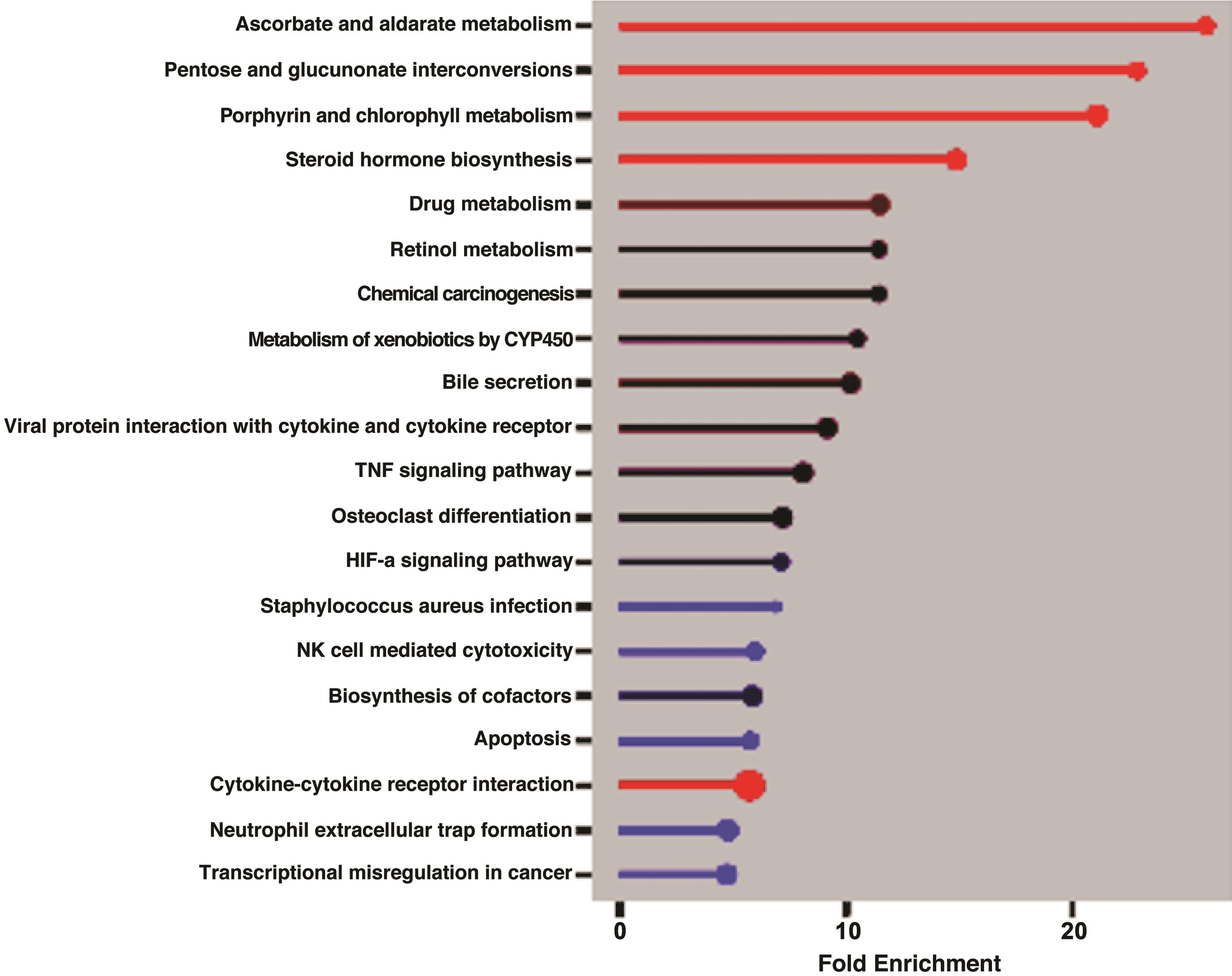 Identification of dysregulated pathways in NAFLD using the ShinyGO enrichment tool.