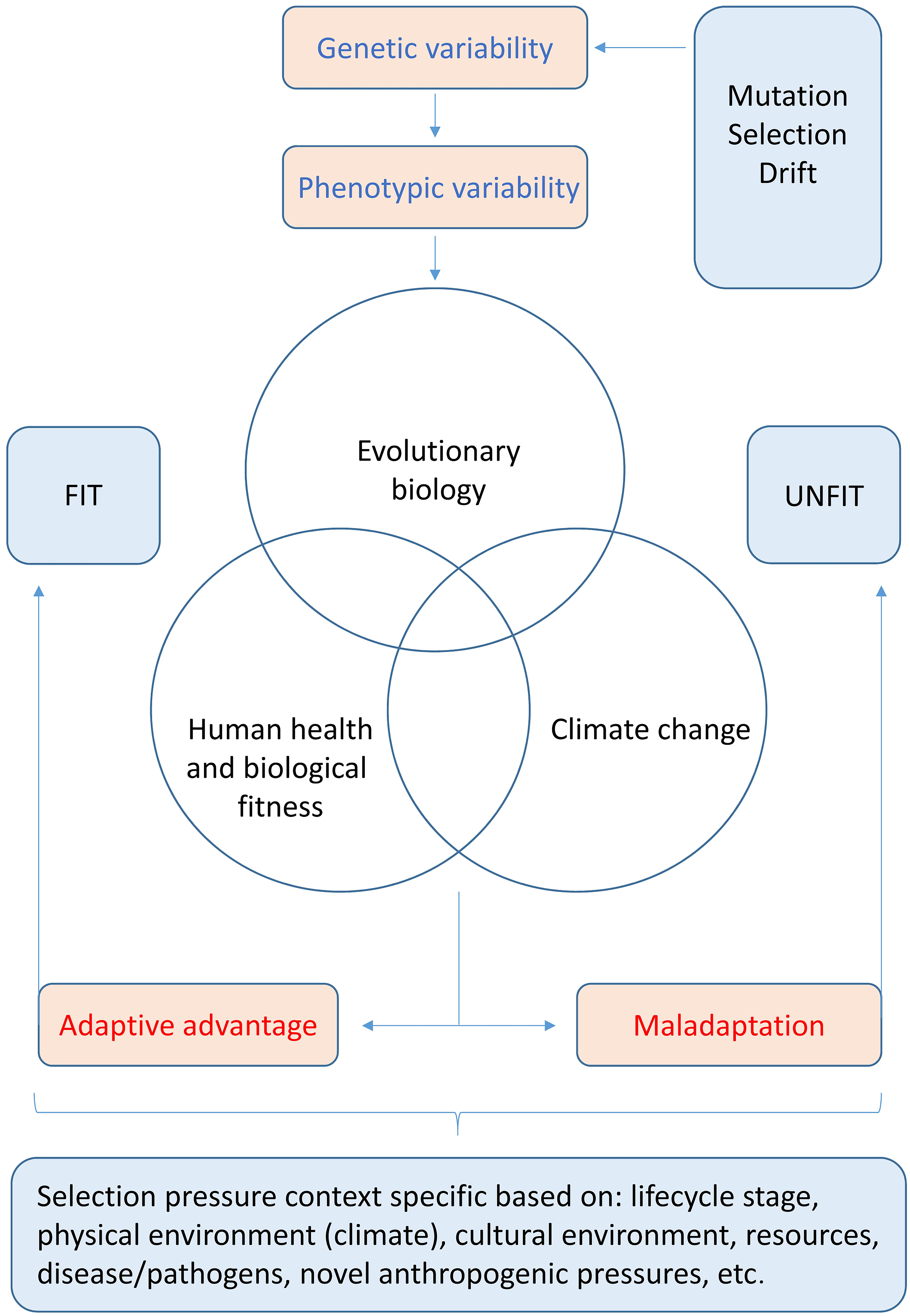 The simplified schematic shows some of the key aspects of evolutionary biology that shape the human phenome and permit the Darwinian medicine approach to the understanding and maintenance of human health (fitness).