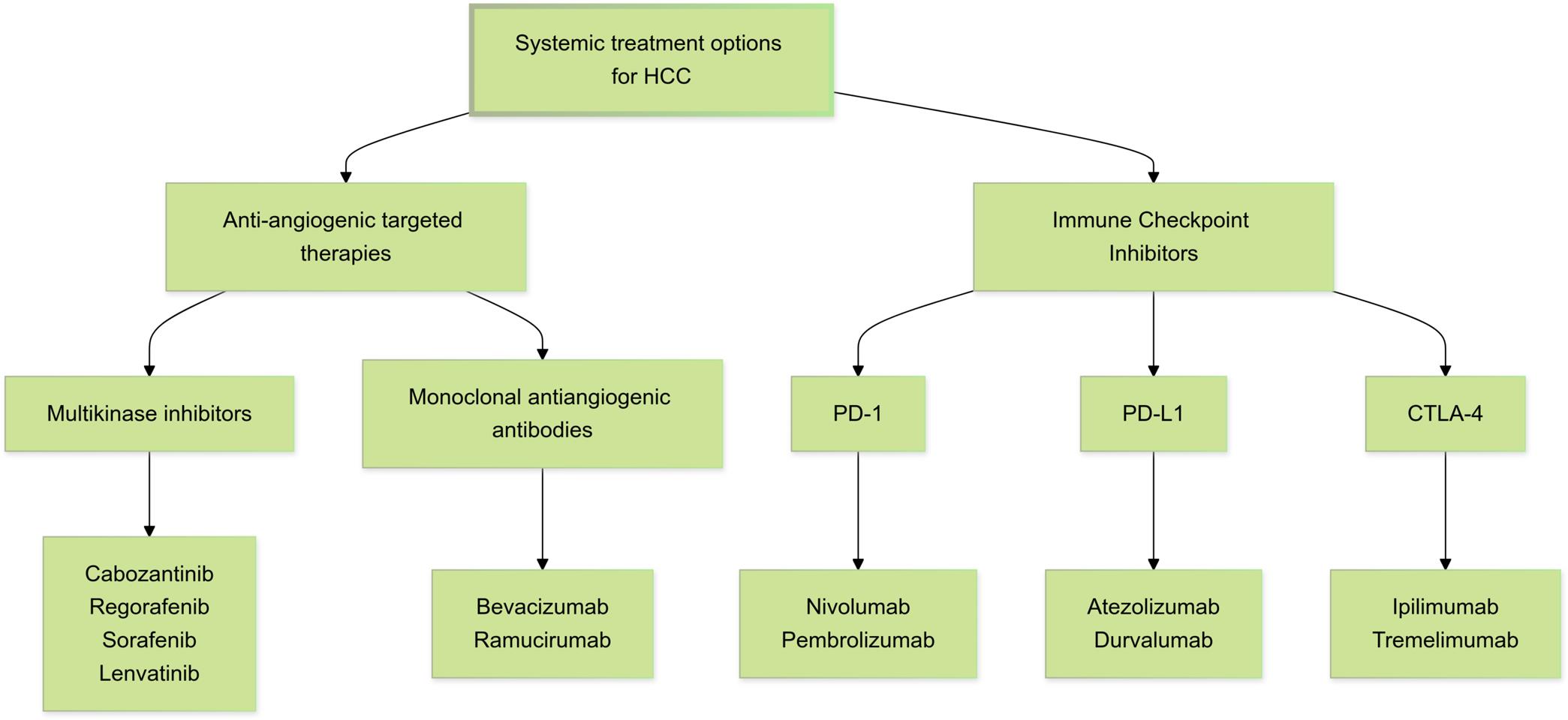 Systemic treatment options for HCC.