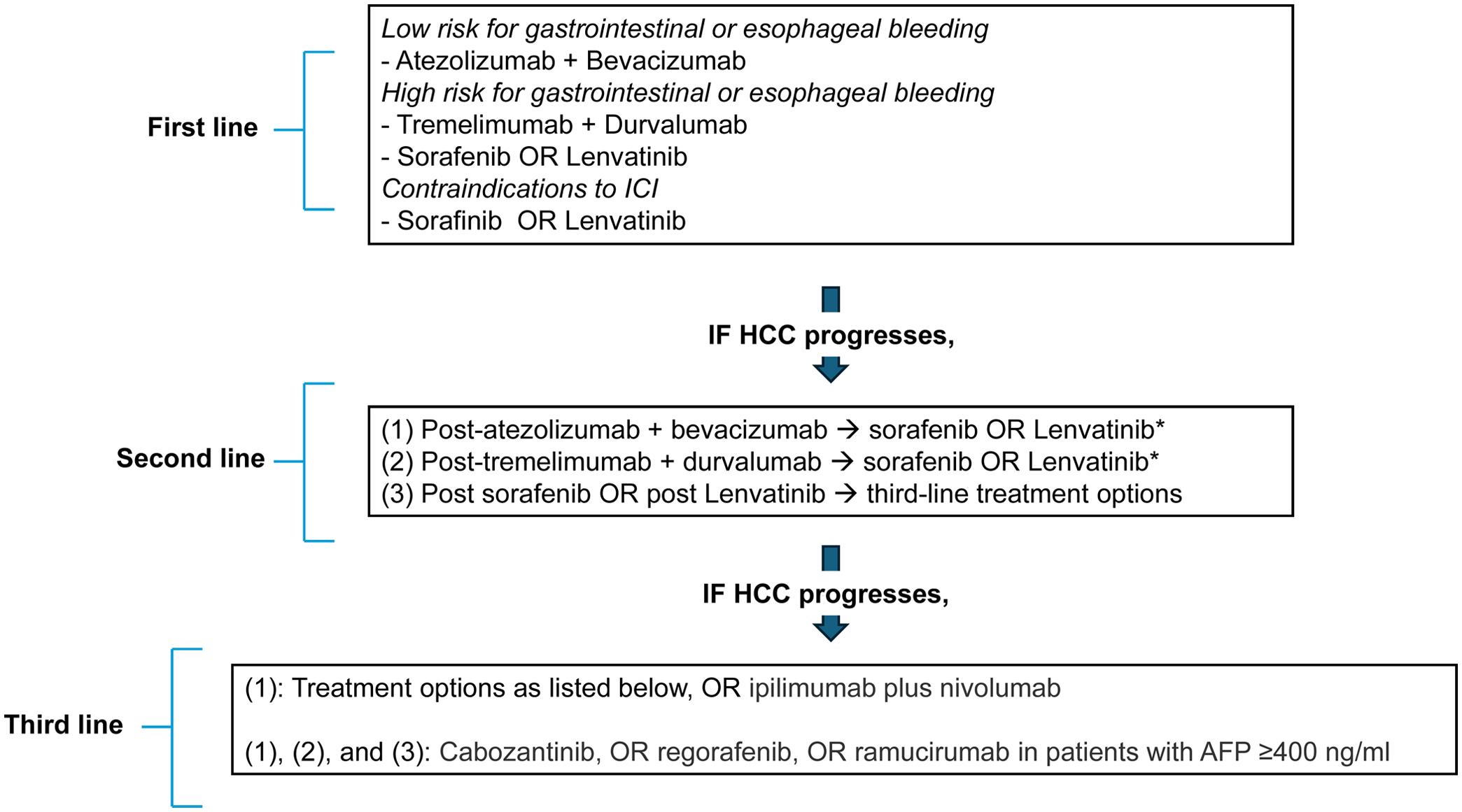 Schematic of treatment recommendations for HCC not eligible for LT.