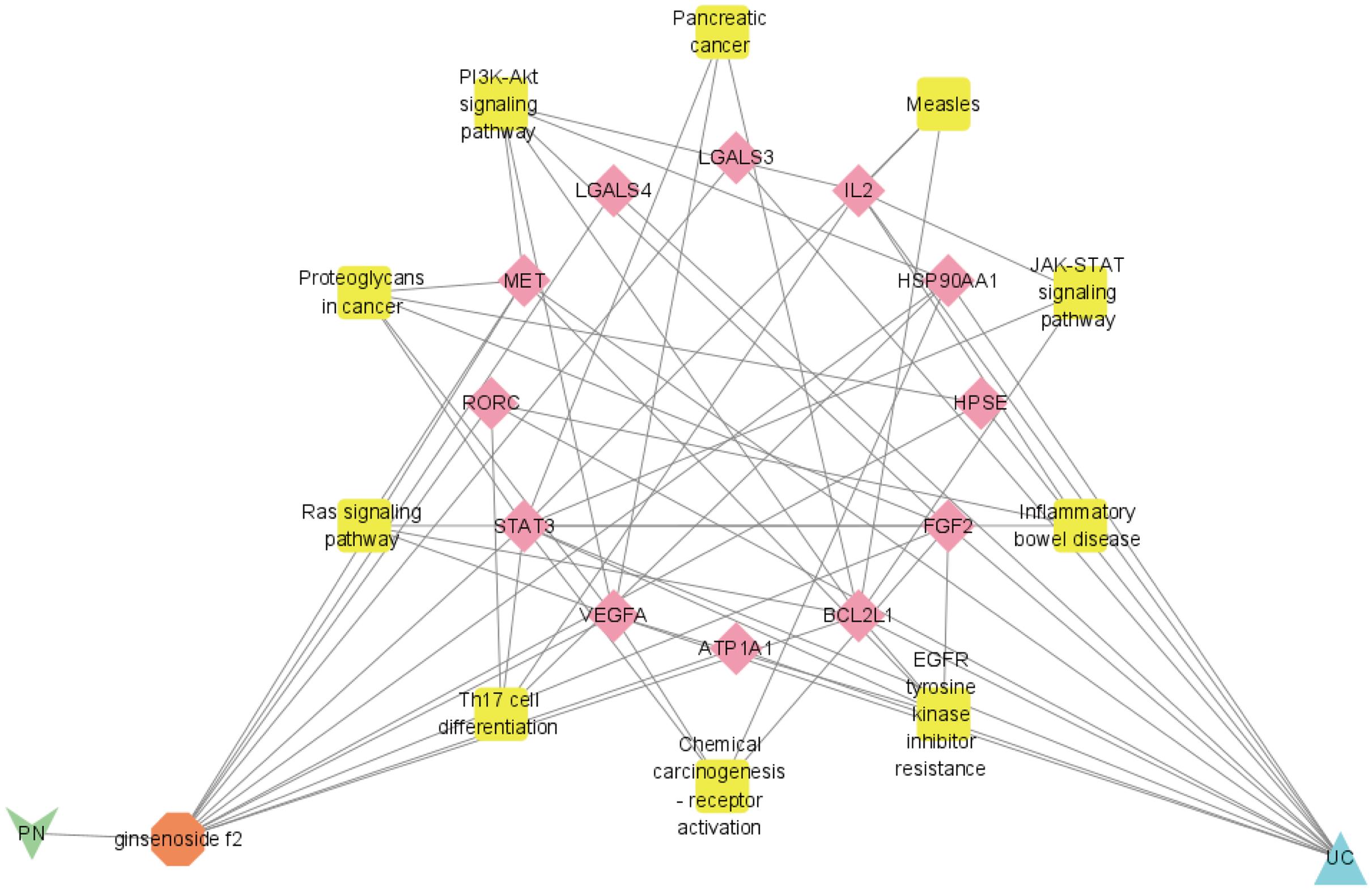 Network diagram of herb-component-target-disease-KEGG pathway.