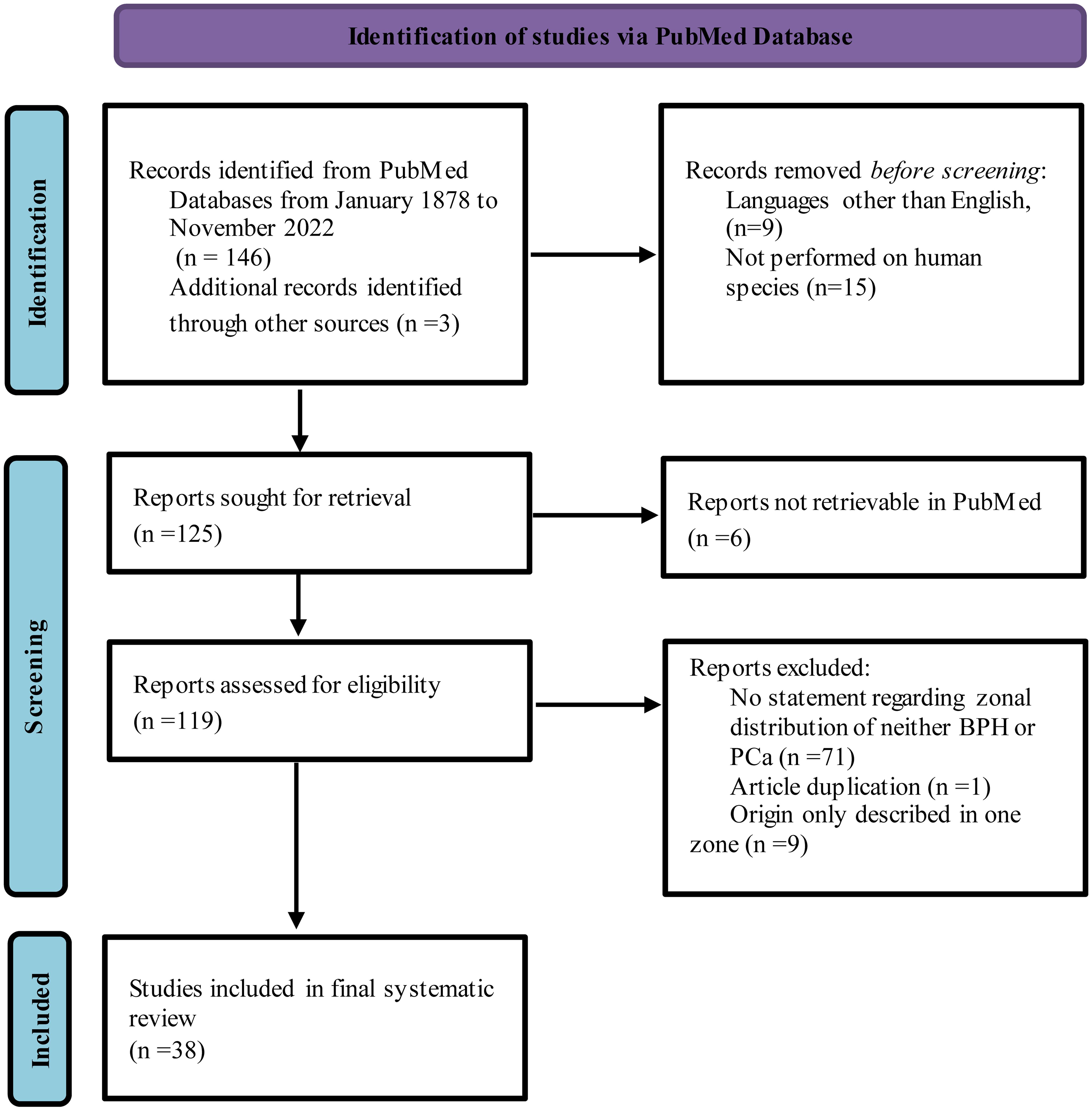 PRISMA flowchart for literature search and study selection, modified according to Page <italic>et al.</italic>