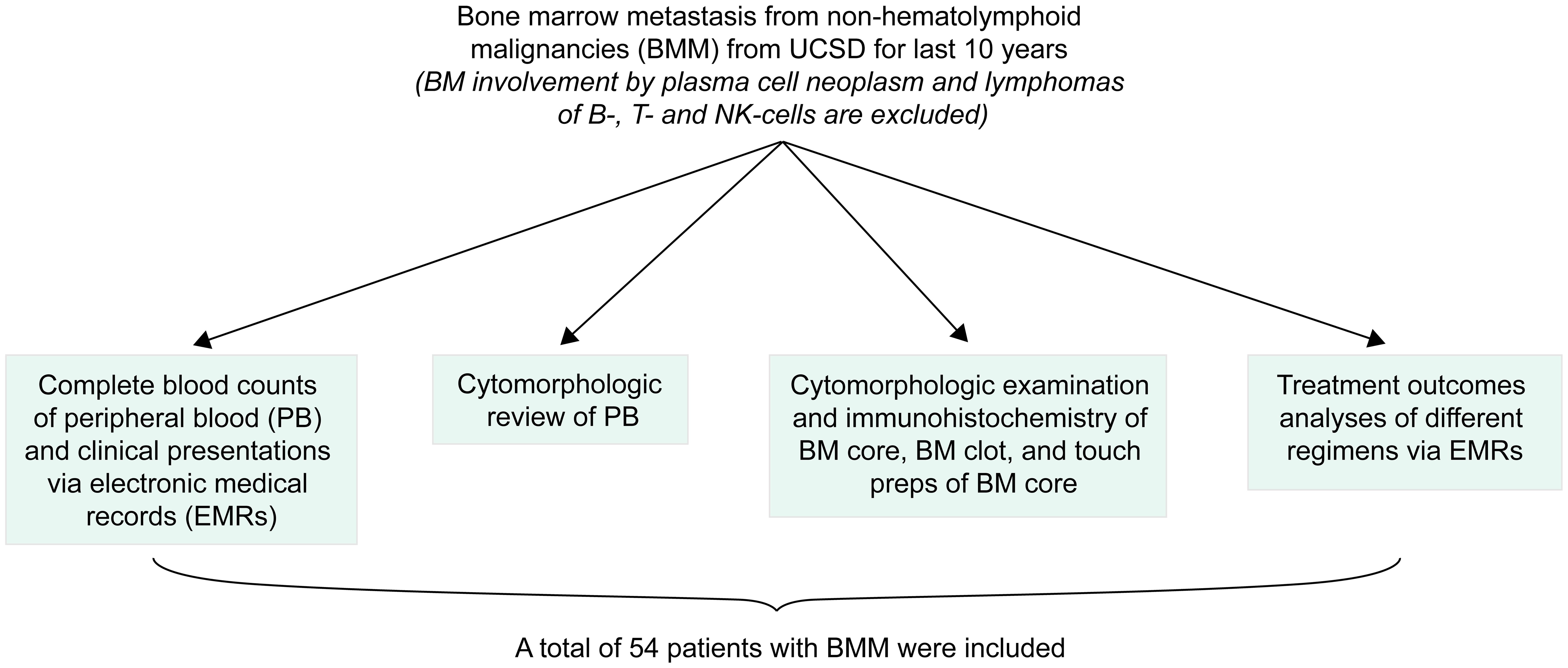 A diagram of the study design.