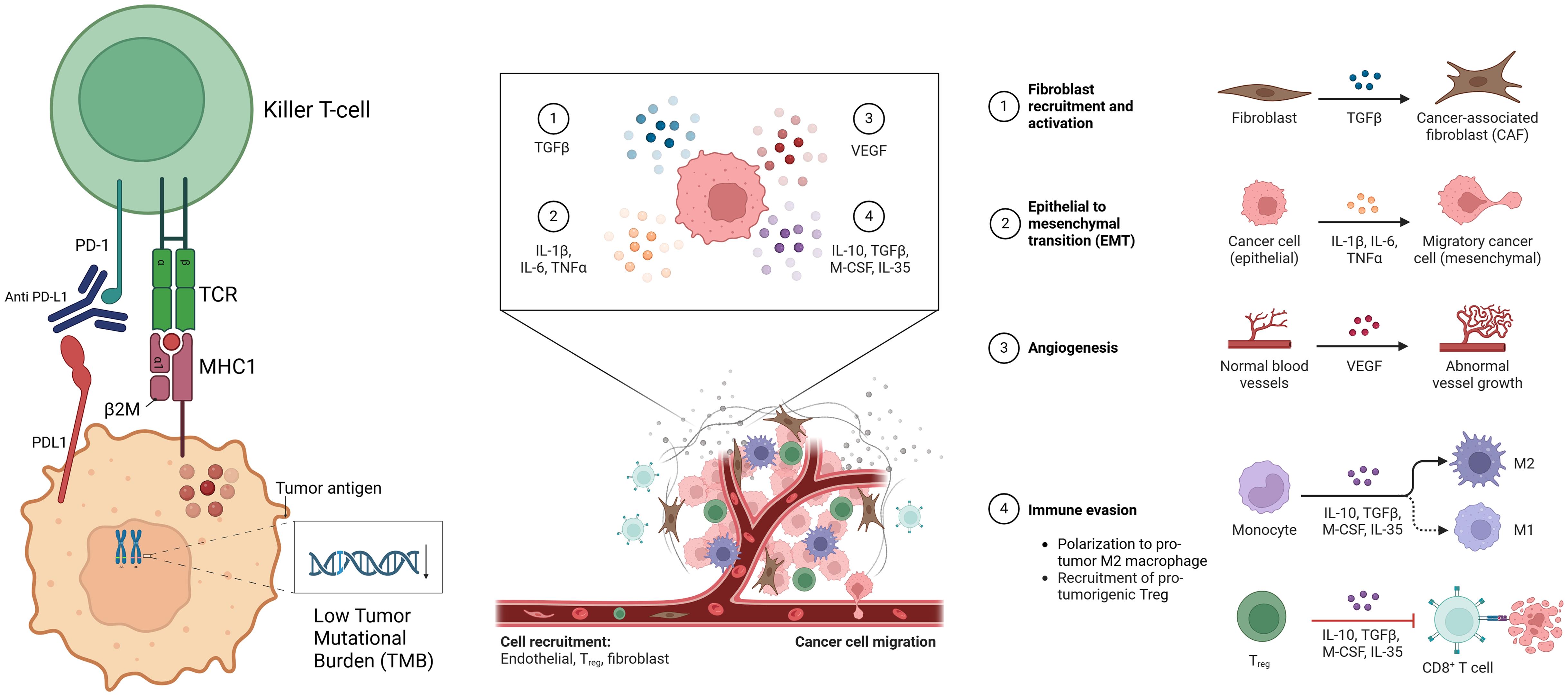 Mechanisms of immunotherapy resistance in MSS CRC.