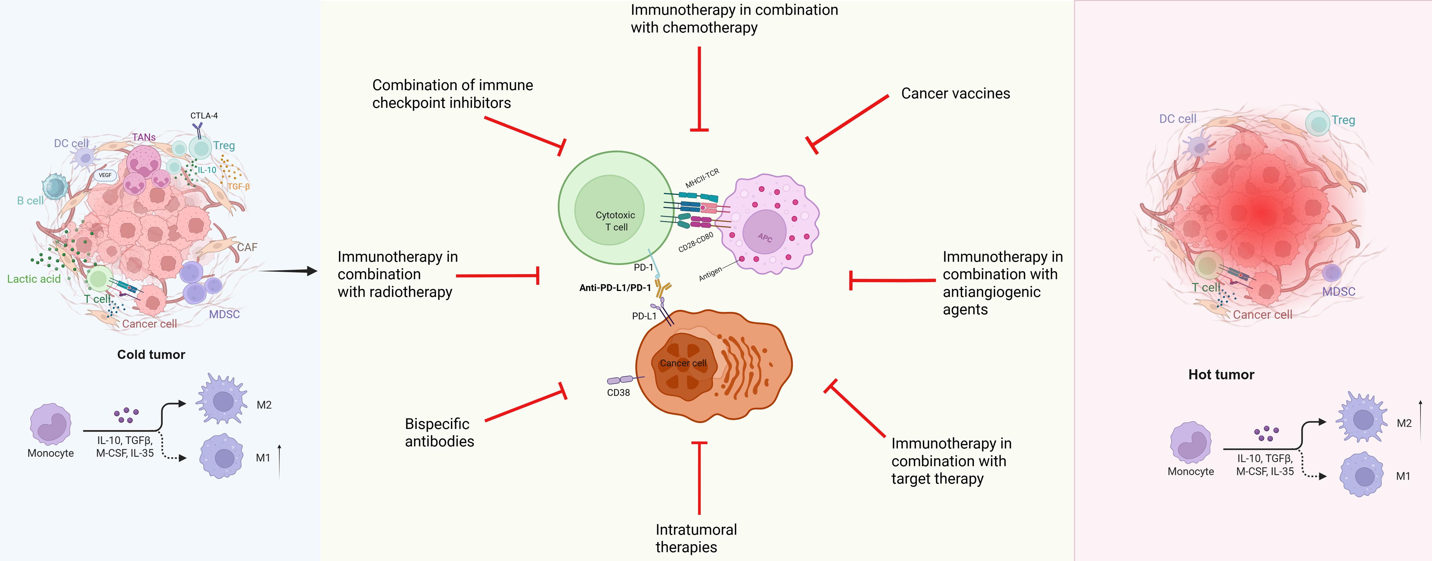 Strategies to convert immunologically “cold” MSS CRC into “hot” tumors.