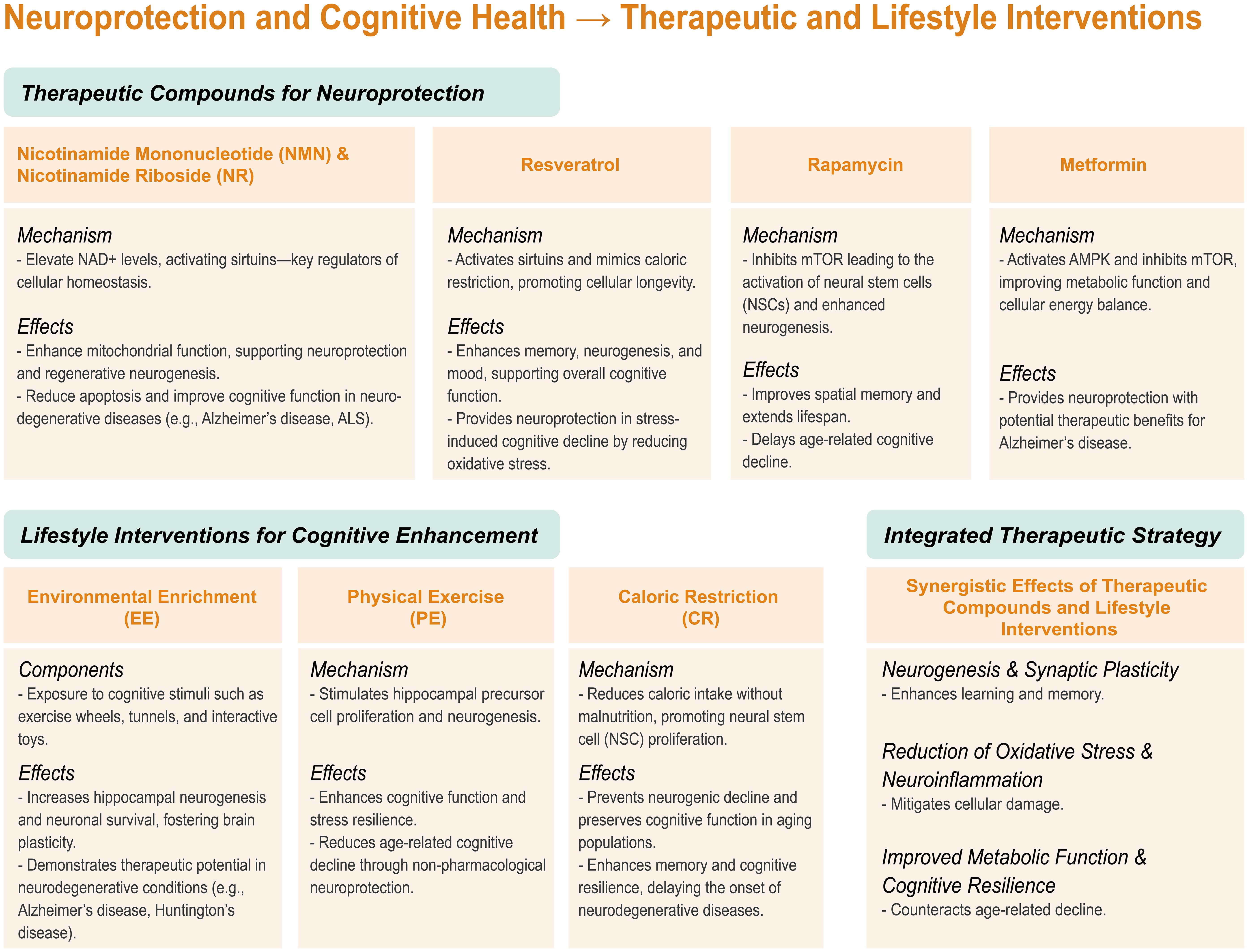 Therapeutic and lifestyle interventions for neuroprotection and cognitive health.