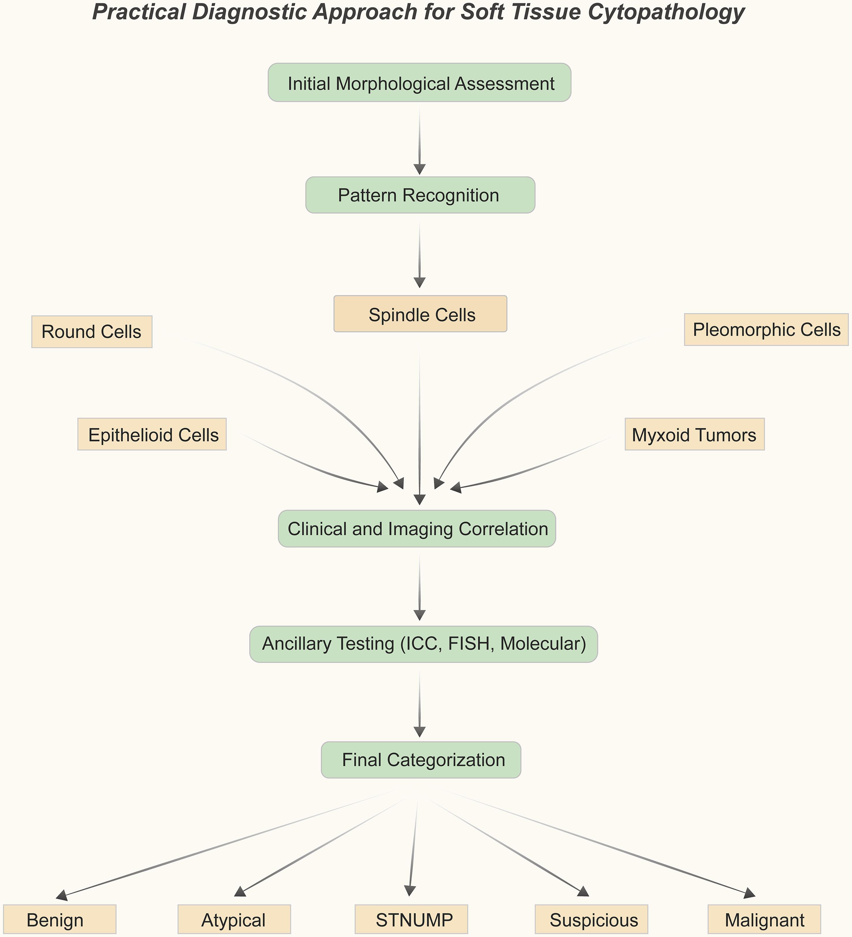 Practical diagnostic approach for soft tissue cytopathology.