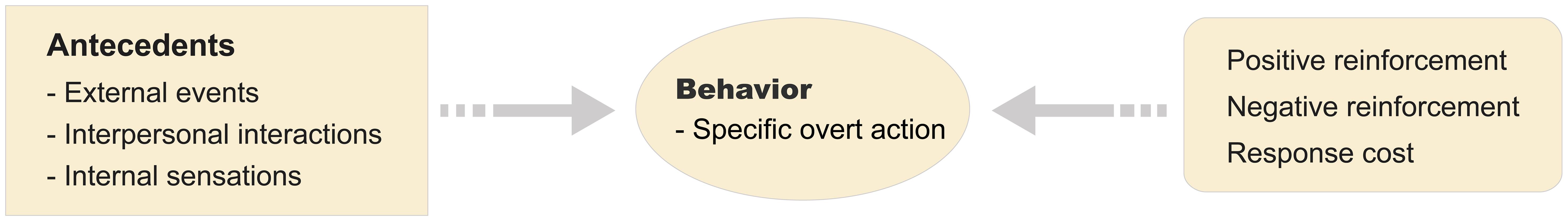 Functional analysis map.