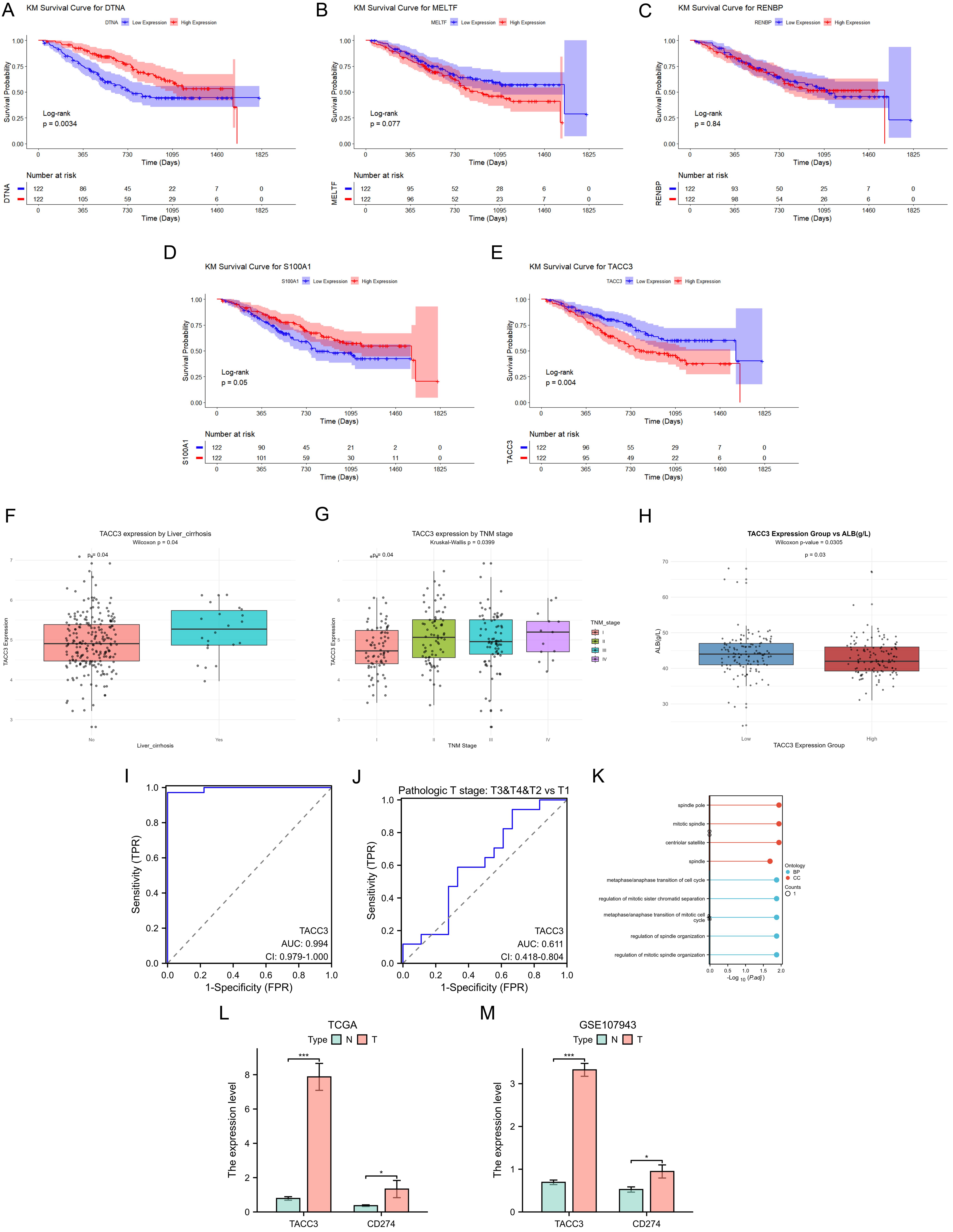 Clinical correlation and diagnostic value of TACC3 expression in ICC.