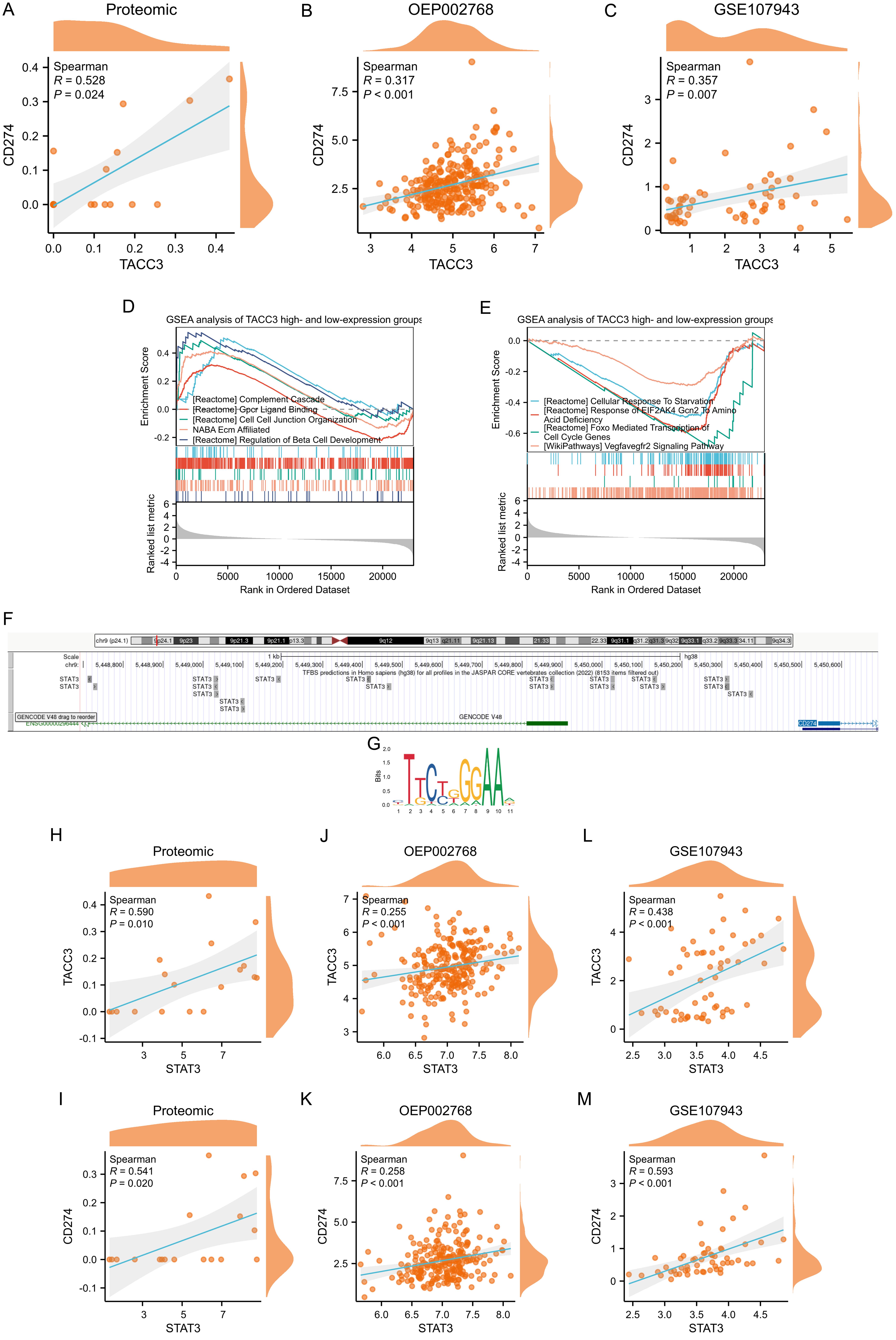 Correlation analysis of TACC3 and CD274 expression, and assessment of the STAT3 pathway.