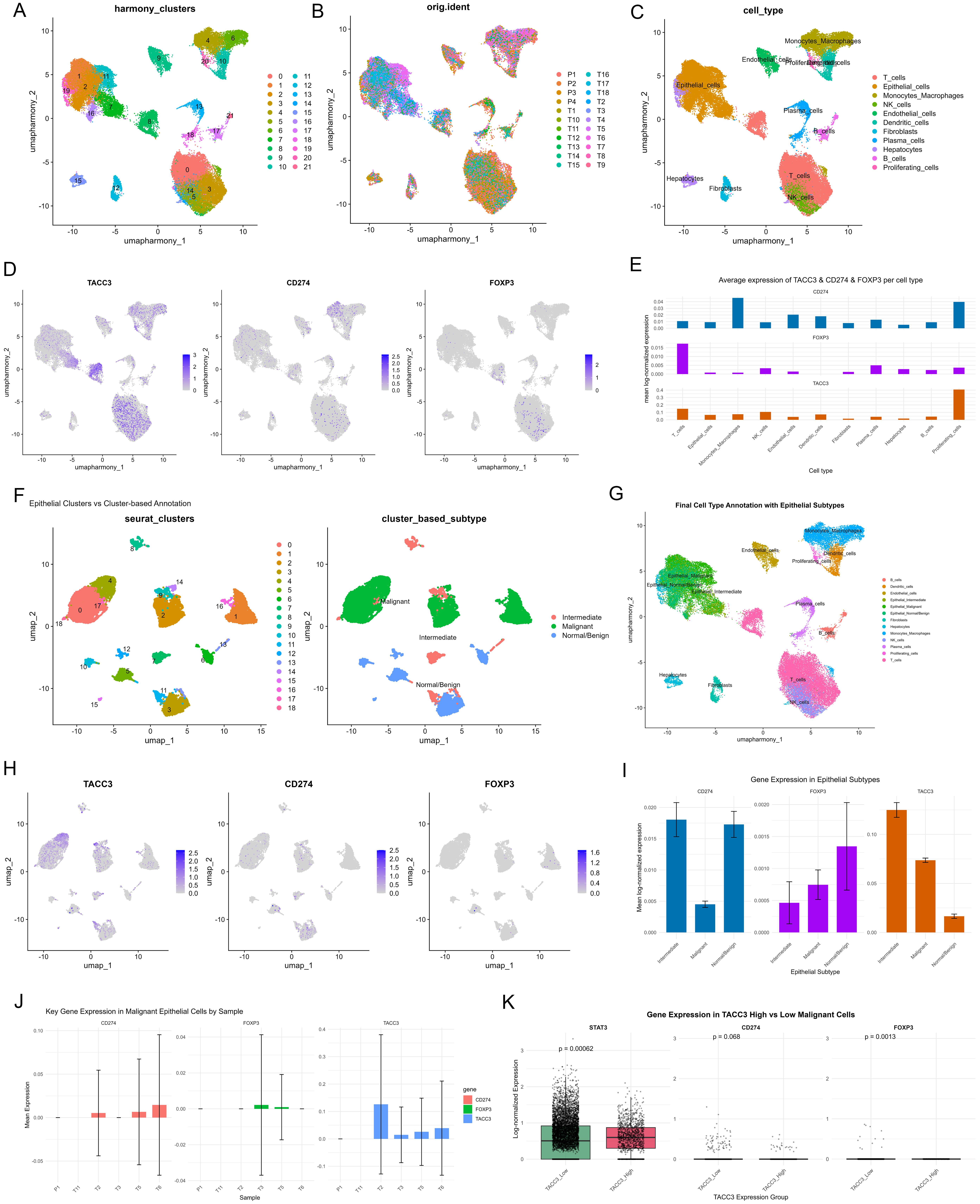 Single-cell resolution of TACC3, PD-L1, and FOXP3 expression in the ICC tumor microenvironment.