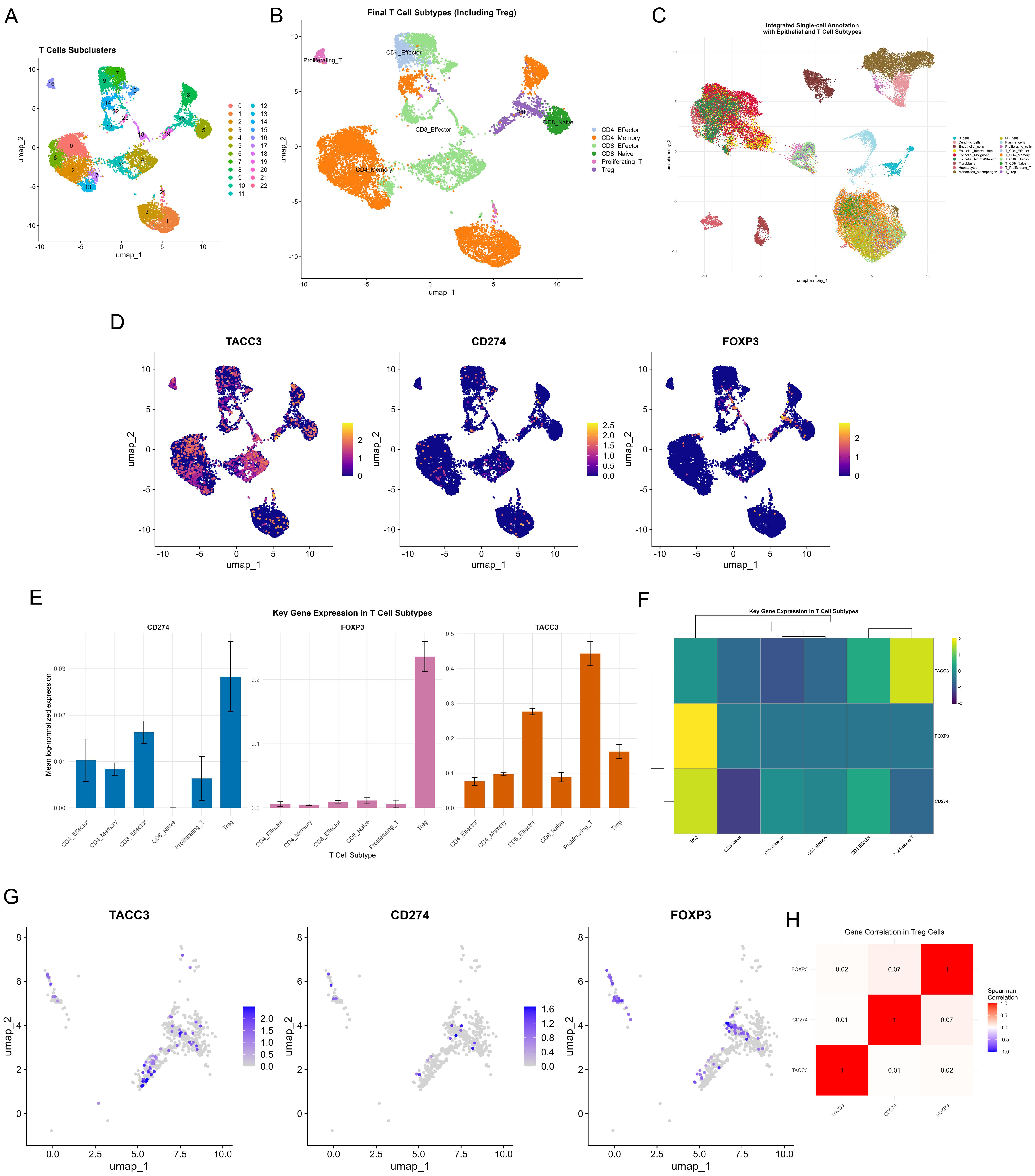 Single-cell dissection of TACC3, CD274, and FOXP3 expression within the T-cell compartment of ICC.