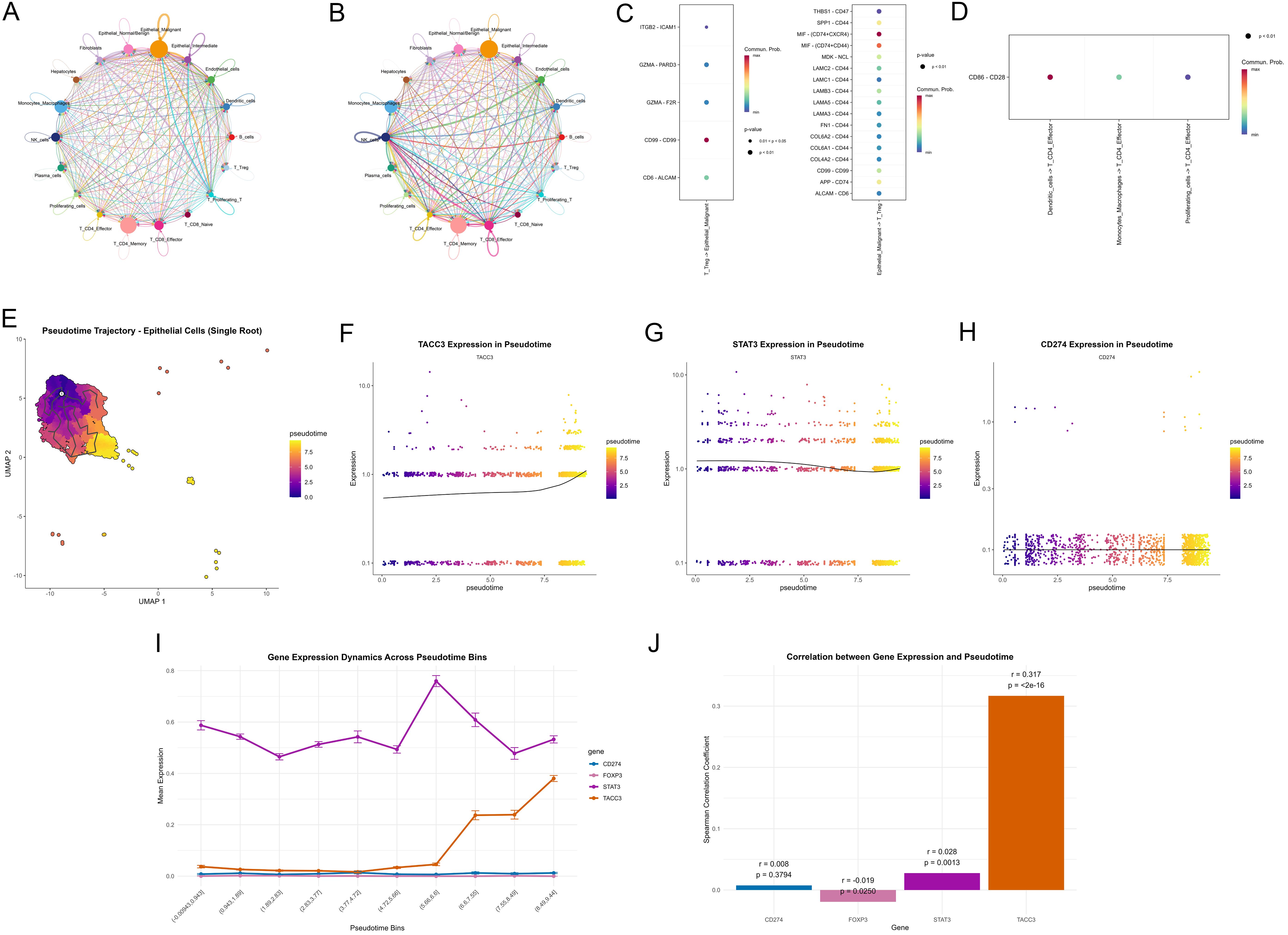 Cell-cell communication and pseudotemporal dynamics of key genes in the ICC microenvironment.