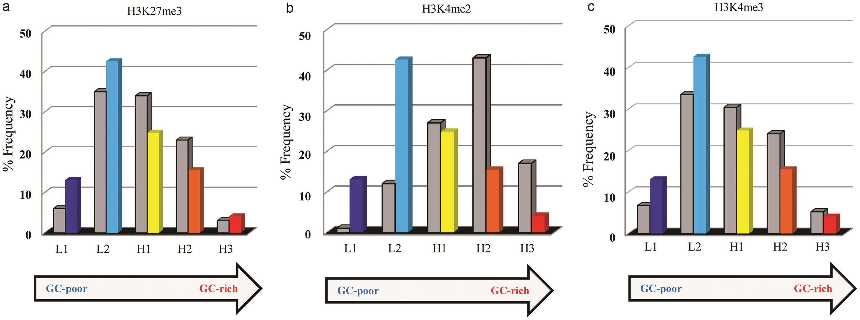 Distribution of genes carrying histone modifications across human isochore families.