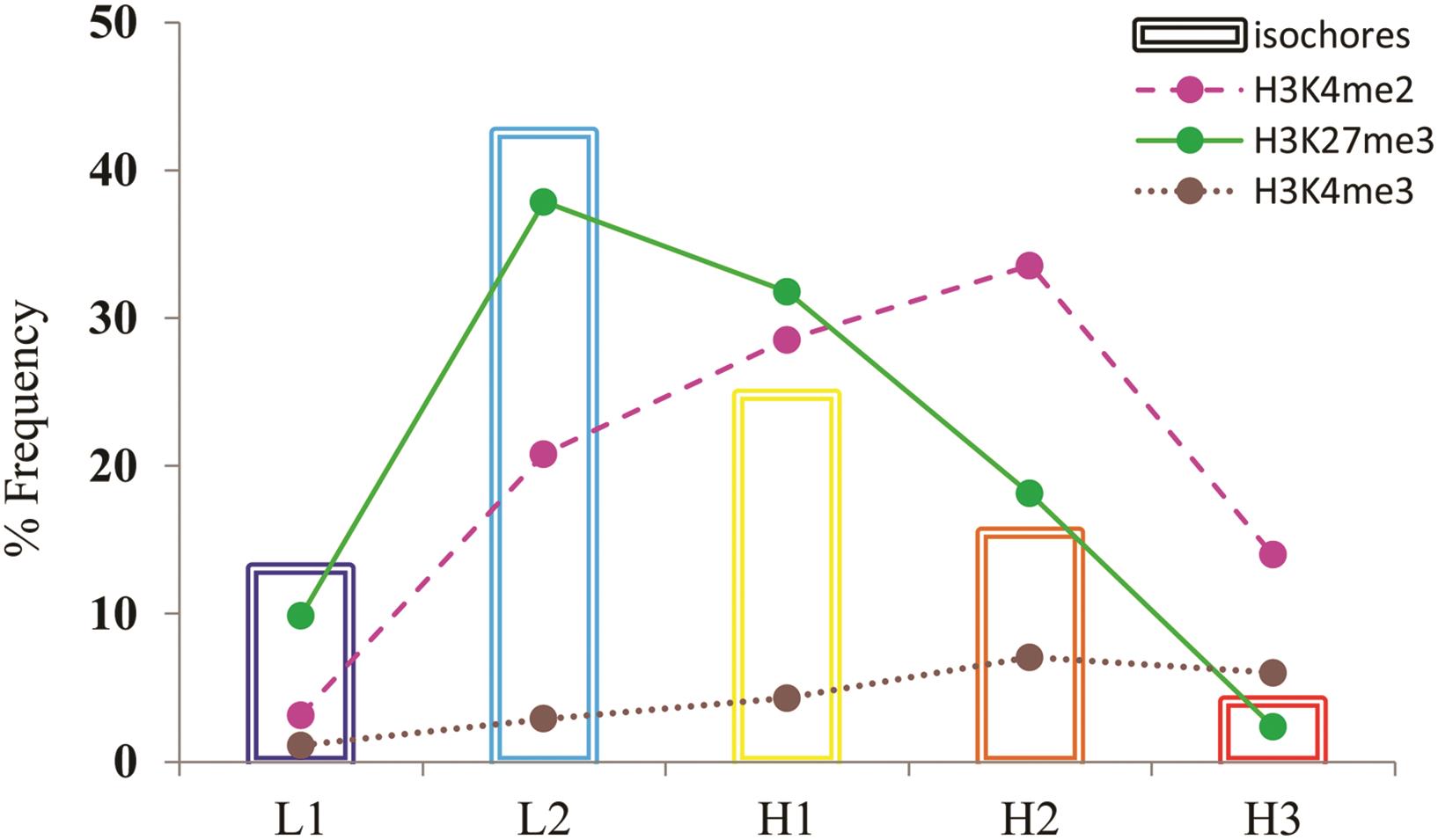 Plot showing percent frequency of modified histones across isochore families.