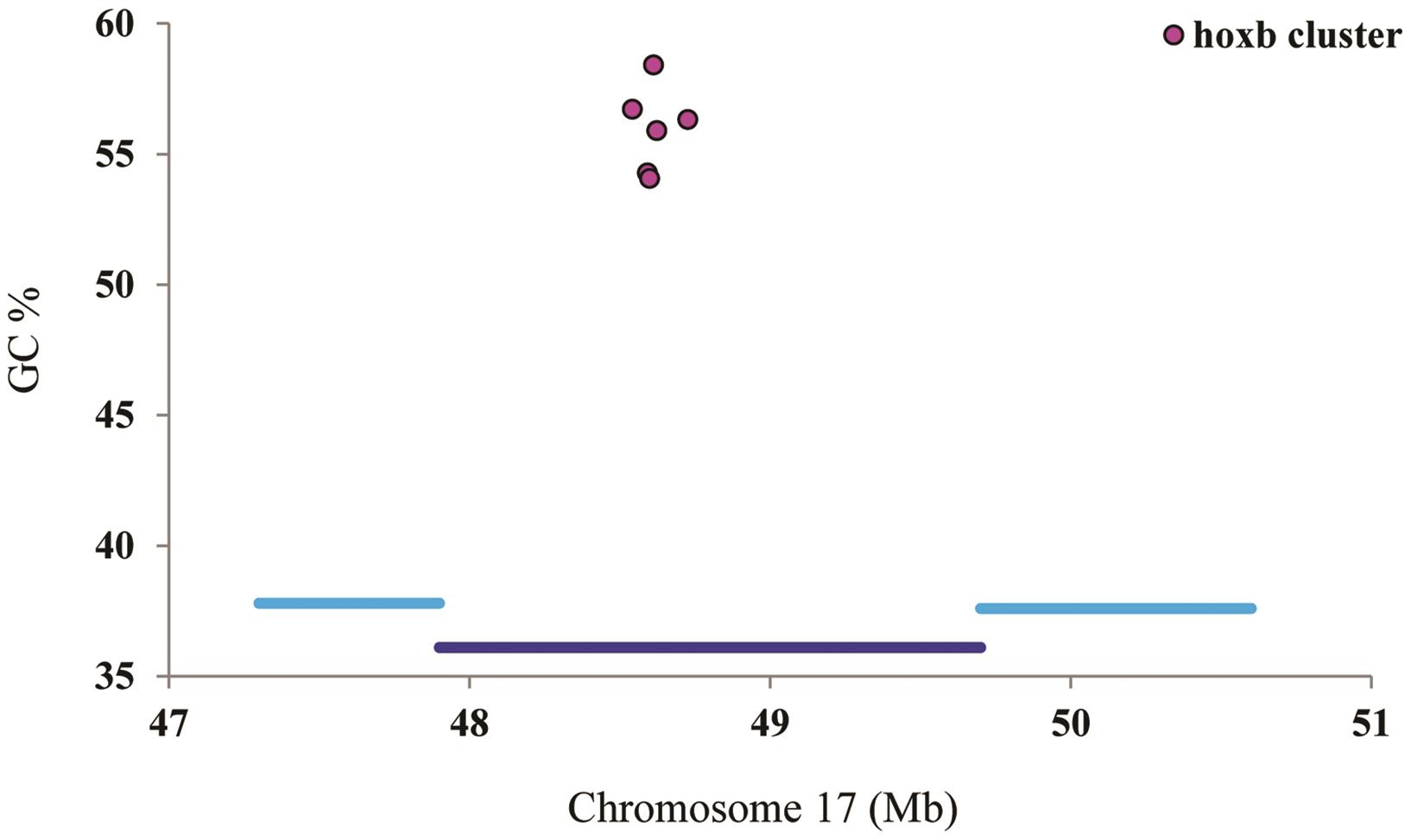 Genes of Hox B cluster along chromosome 17.
