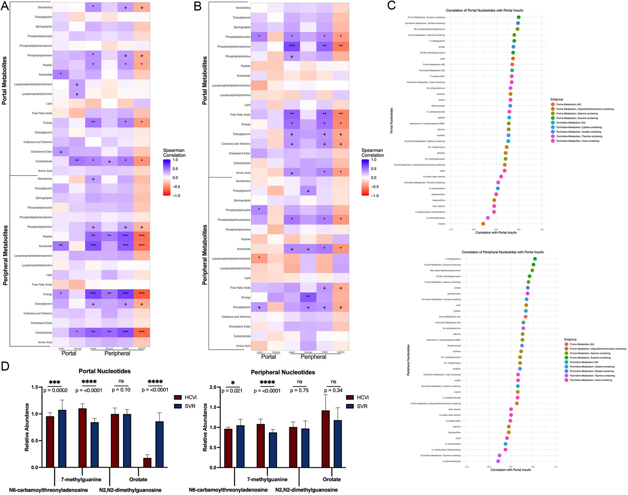 Relationships between portal insulin and nucleotides.