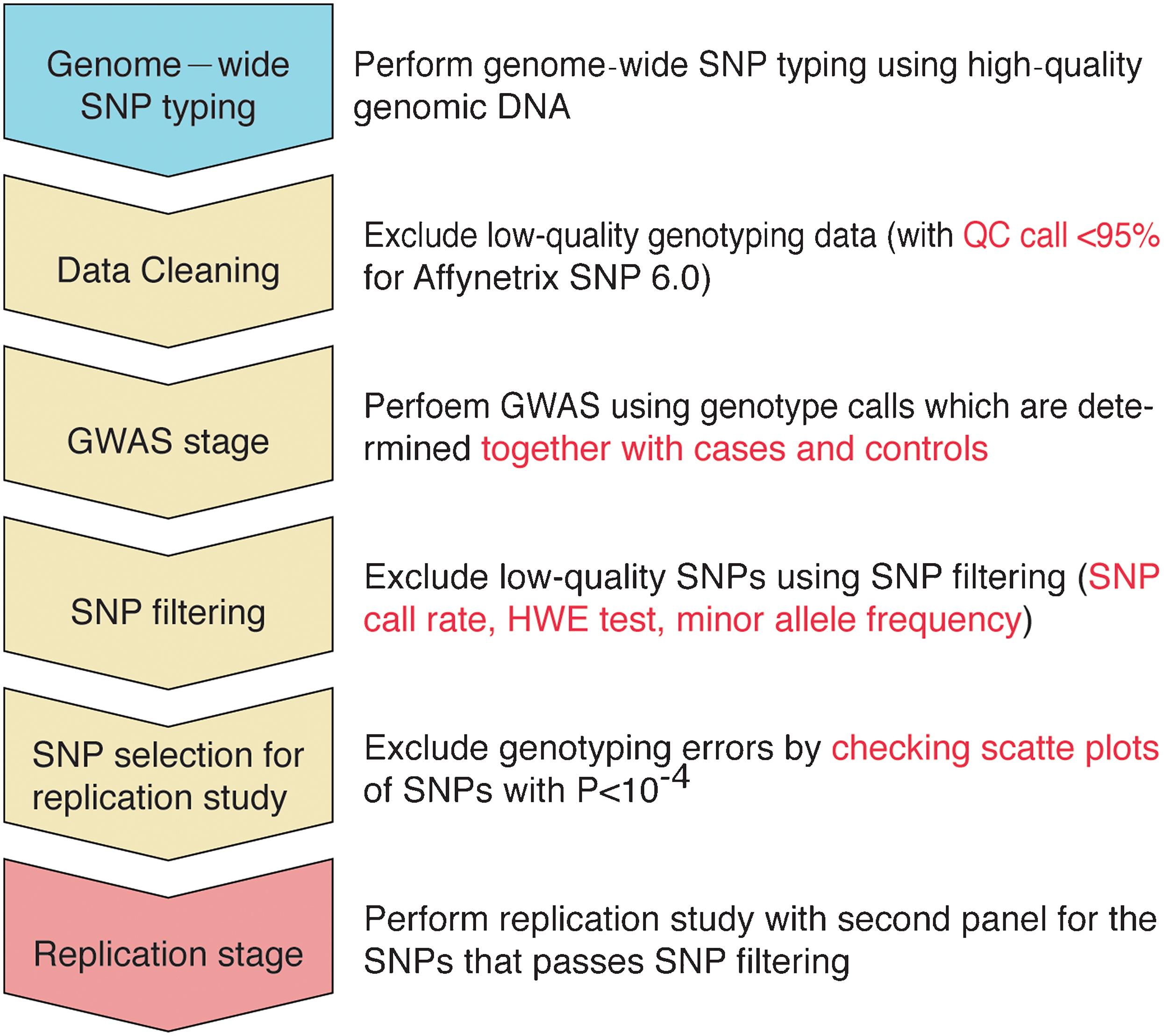 GWAS strategy from genome-wide SNP typing to replication analysis
