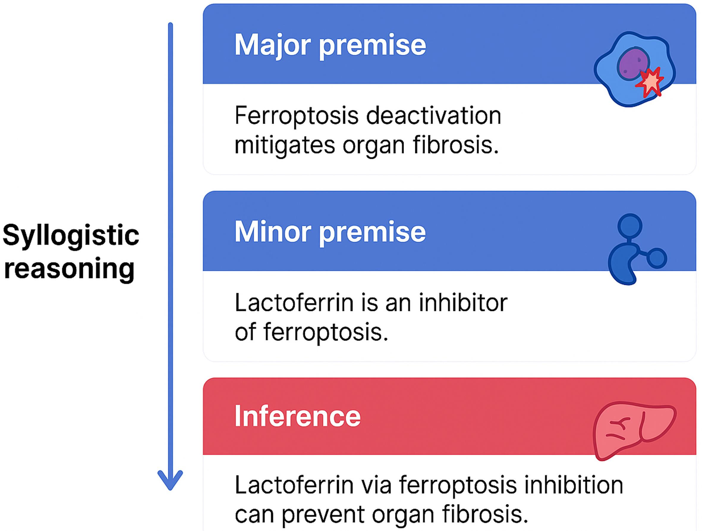 Potential mechanisms through which lactoferrin affects organ fibrosis.