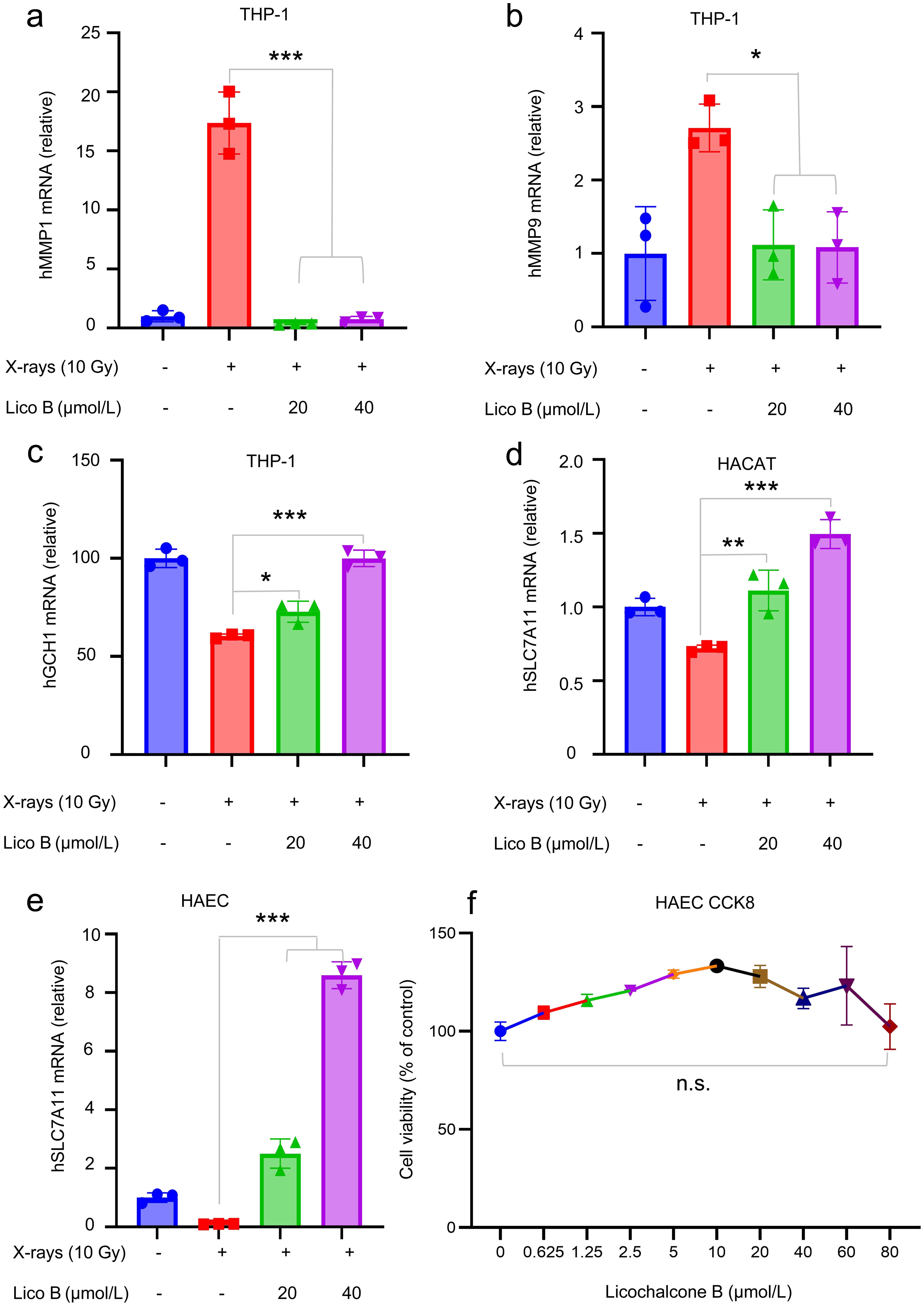 Licochalcone B inhibited the expression of matrix metalloproteinases and promoted the expression of <italic>GCH1</italic> and <italic>SLC7A11</italic> in cells treated with X-ray irradiation.