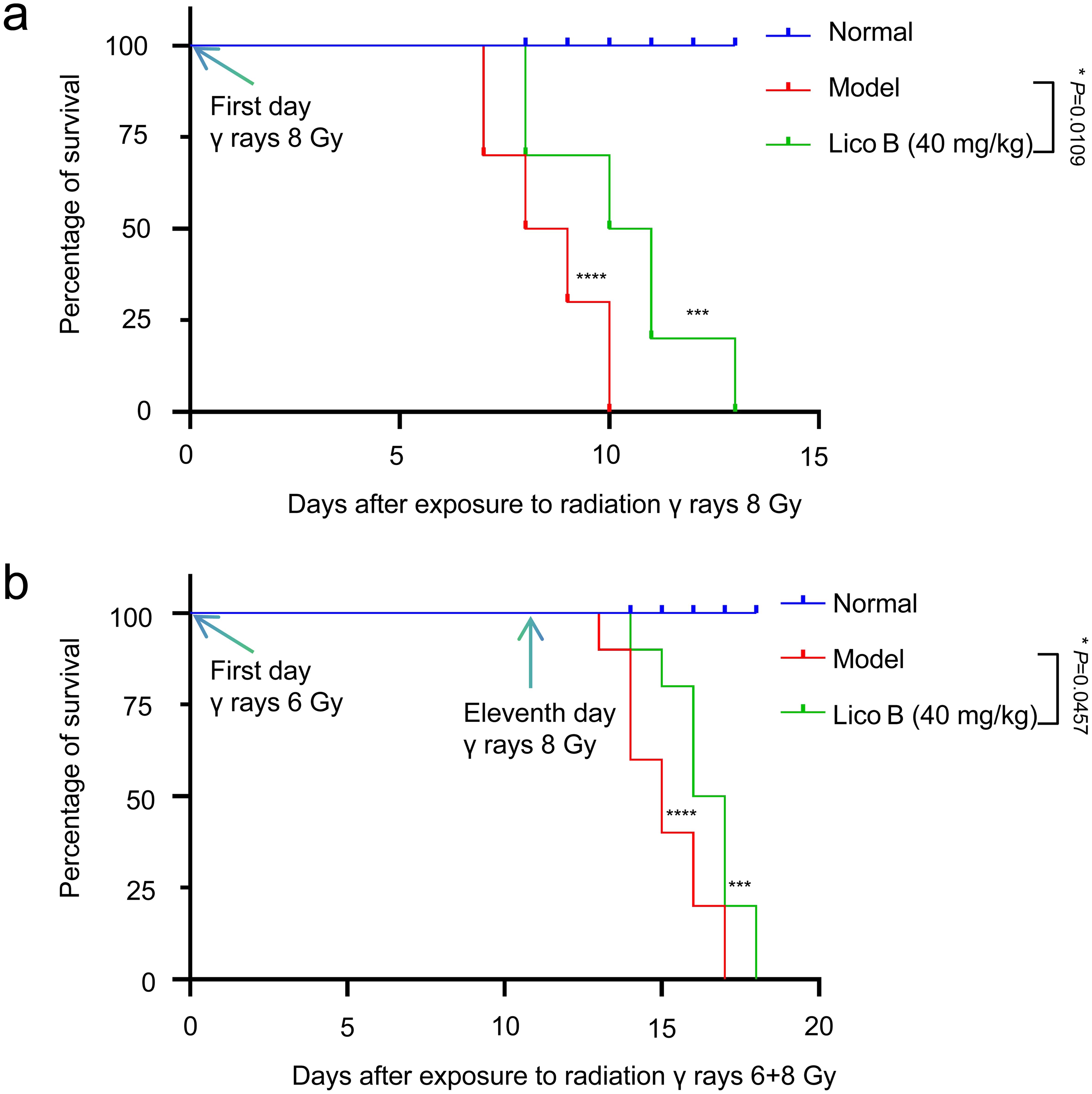 Lico B significantly prolonged the survival time of mice exposed to γ-ray radiation (n = 10).