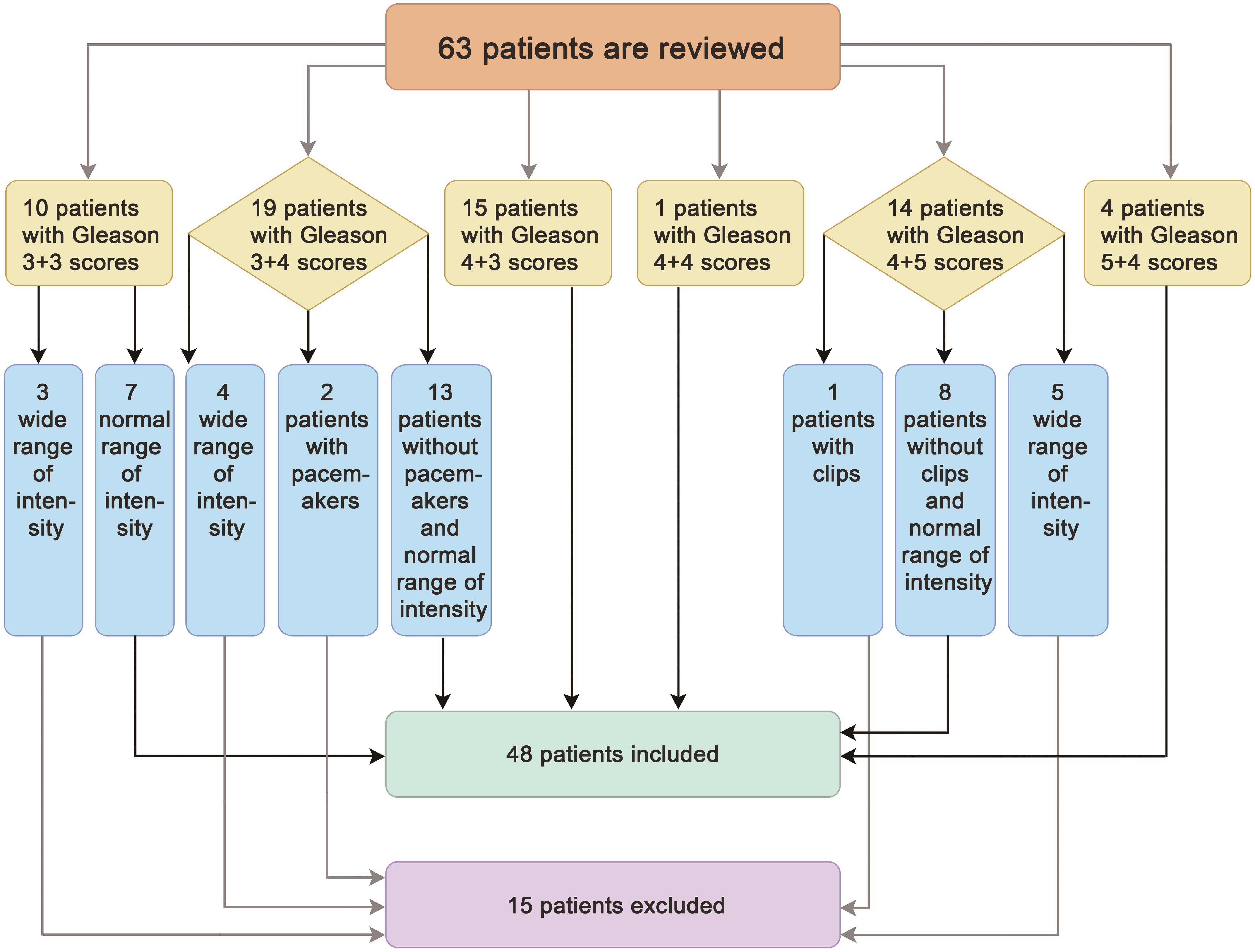 The flow chart of patient’s inclusion and exclusion.