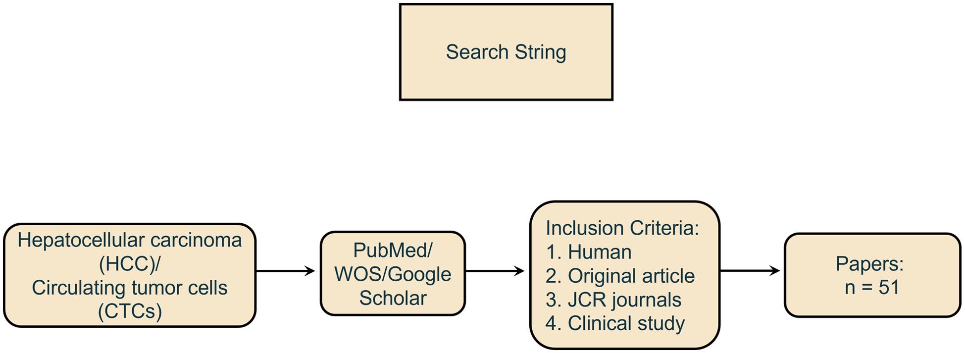 Flowchart of the literature search.