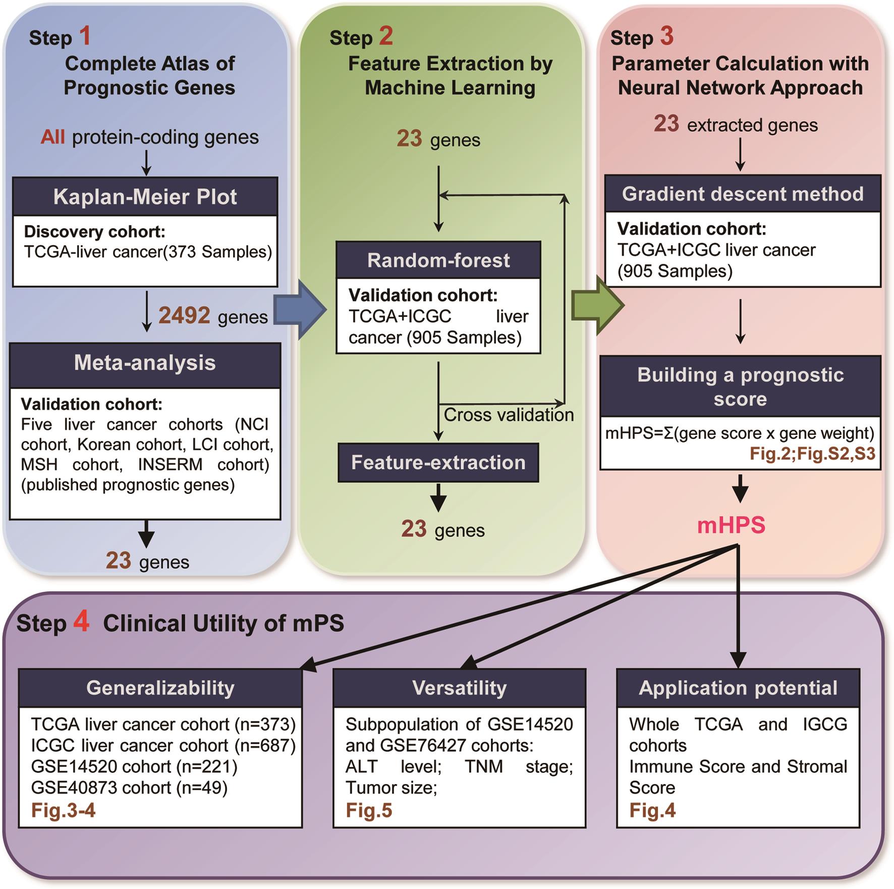 Molecular International Prognostic Scoring System – YEYCDB
