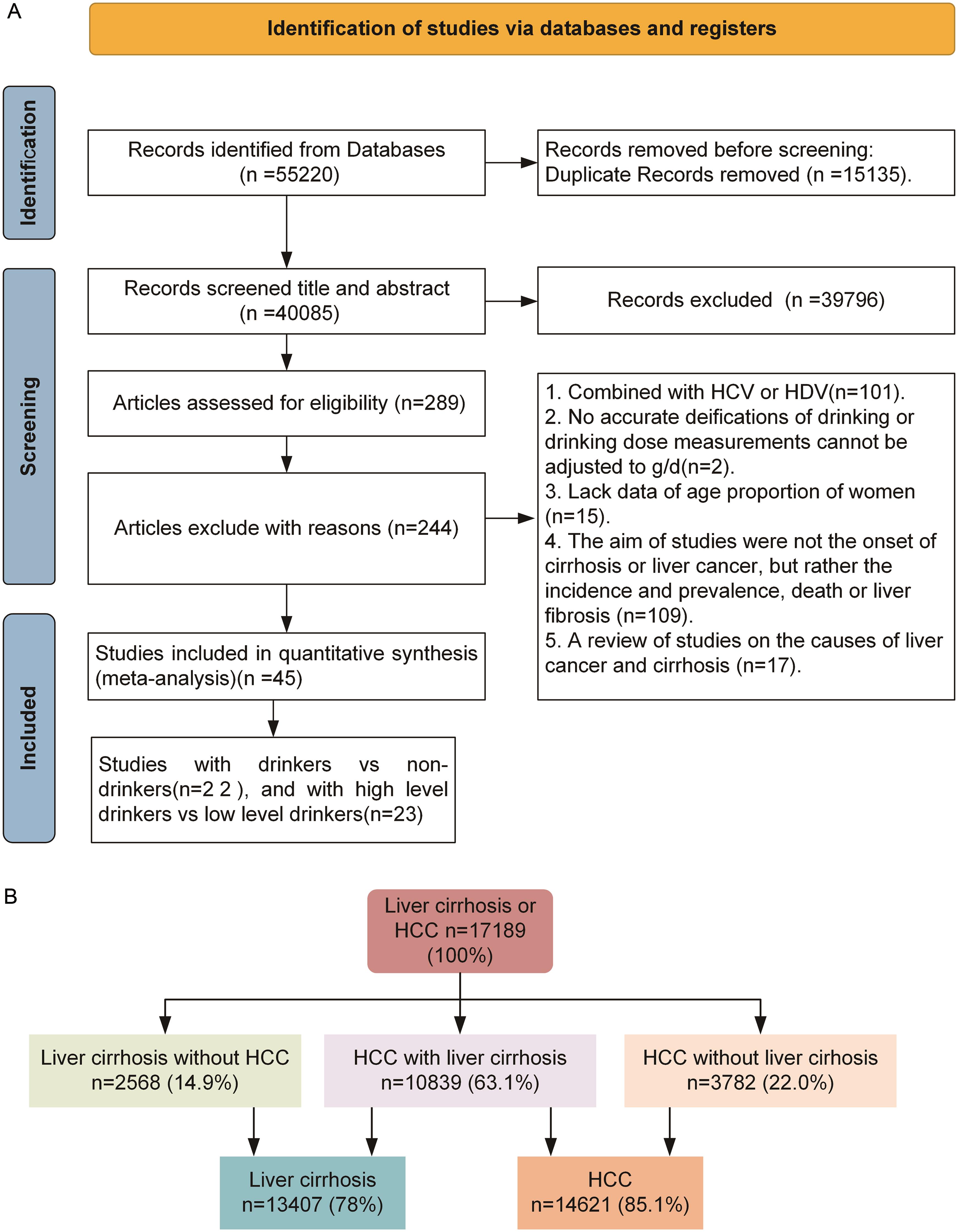 (A) Study overview: Flow diagram of study selection. (B) Number of patients with chronic hepatitis B.