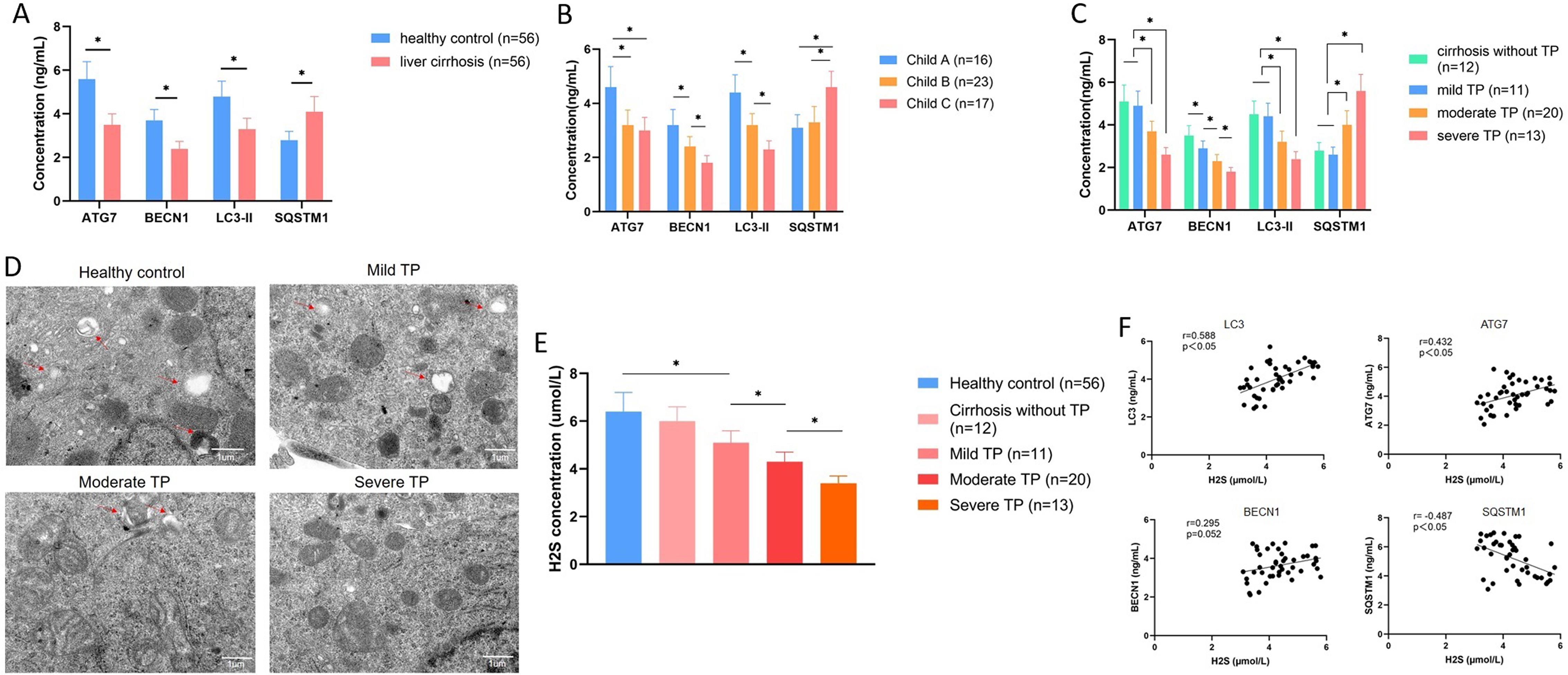 Platelet autophagy and serum endogenous H<sub>2</sub>S levels in cirrhotic patients with thrombocytopenia (TP).