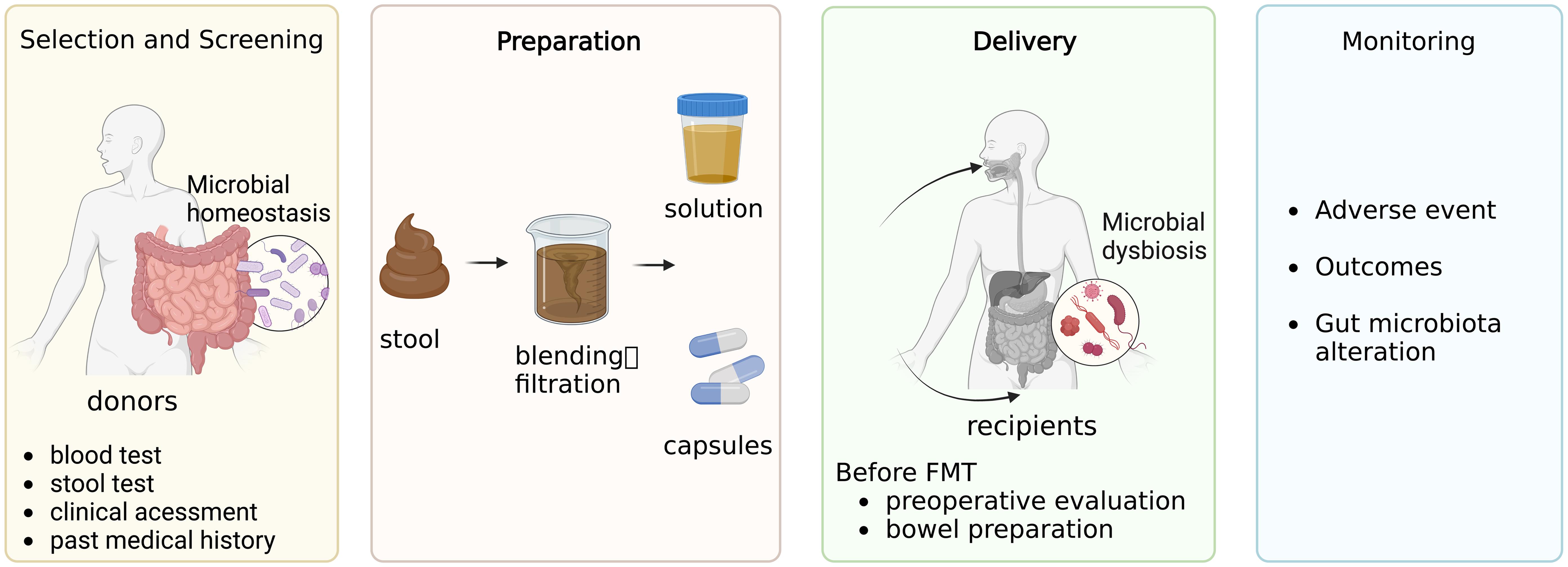 The process of FMT (fecal microbiota transplantation).