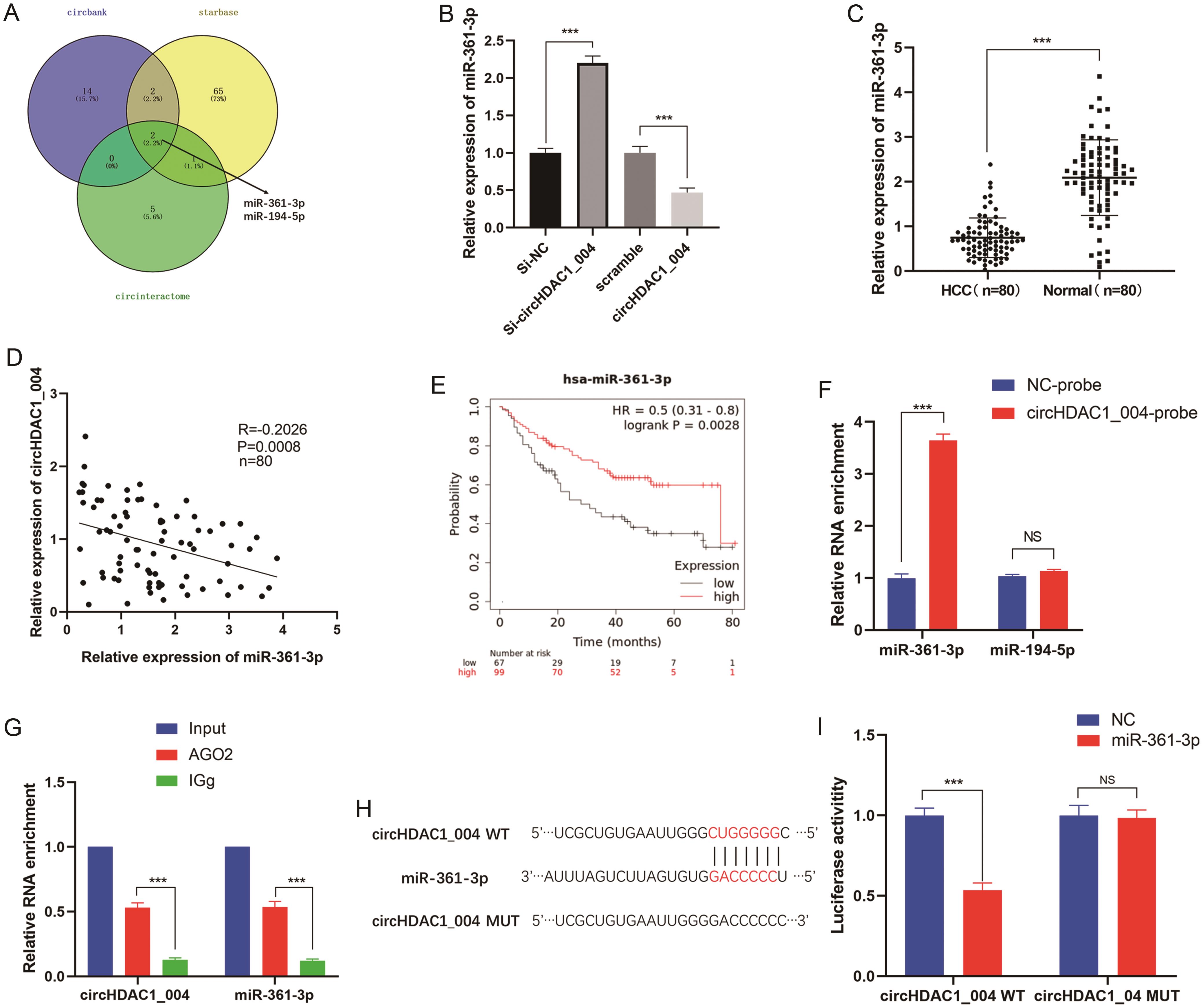 CircHDAC1_004 acted as a sponge for miR-361-3p.