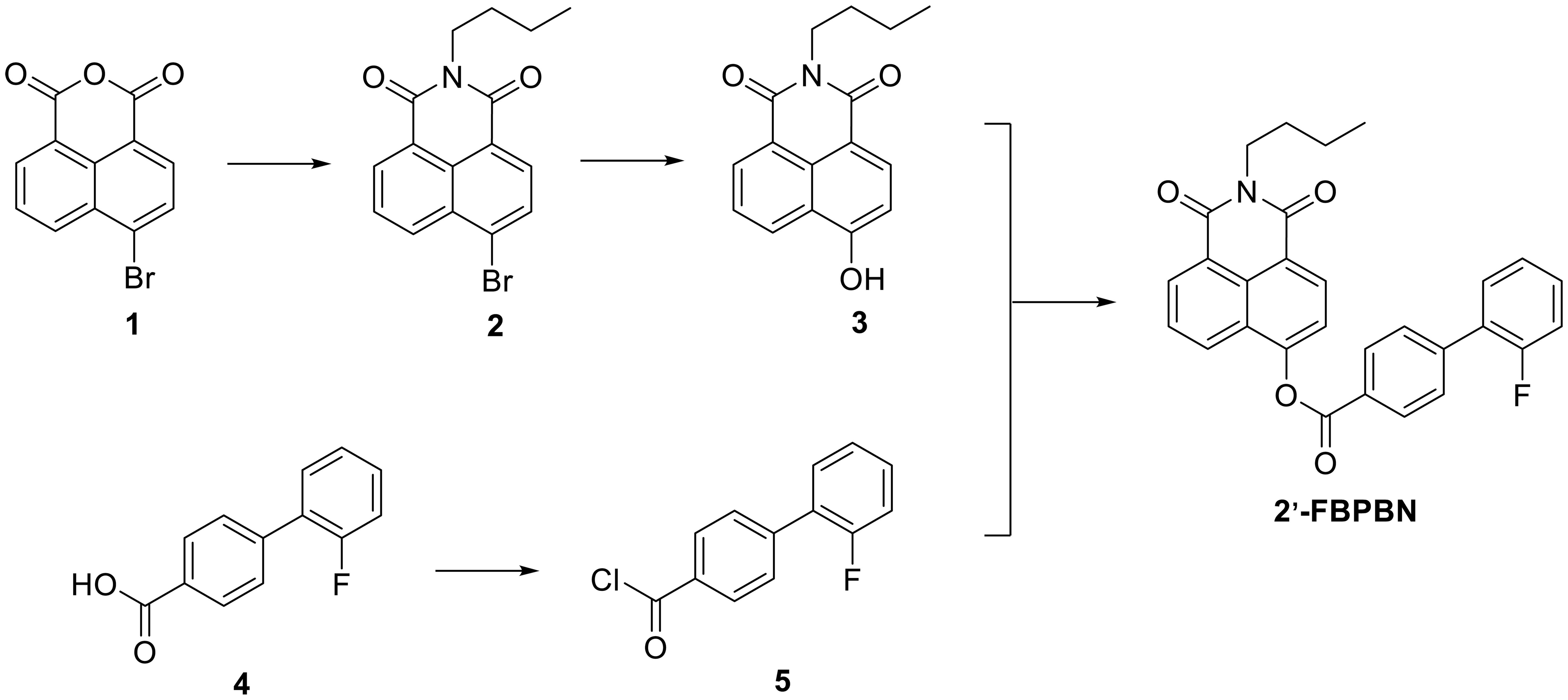 Synthetic Route of 2′-FBPBN. 2′-FBPBN, 2-butyl-1,3-dioxo-2,3-dihydro-1H-benzo[de]isoquinolin-6-yl-2′-fluoro-[1,1′-biphenyl]-4-carboxylate.