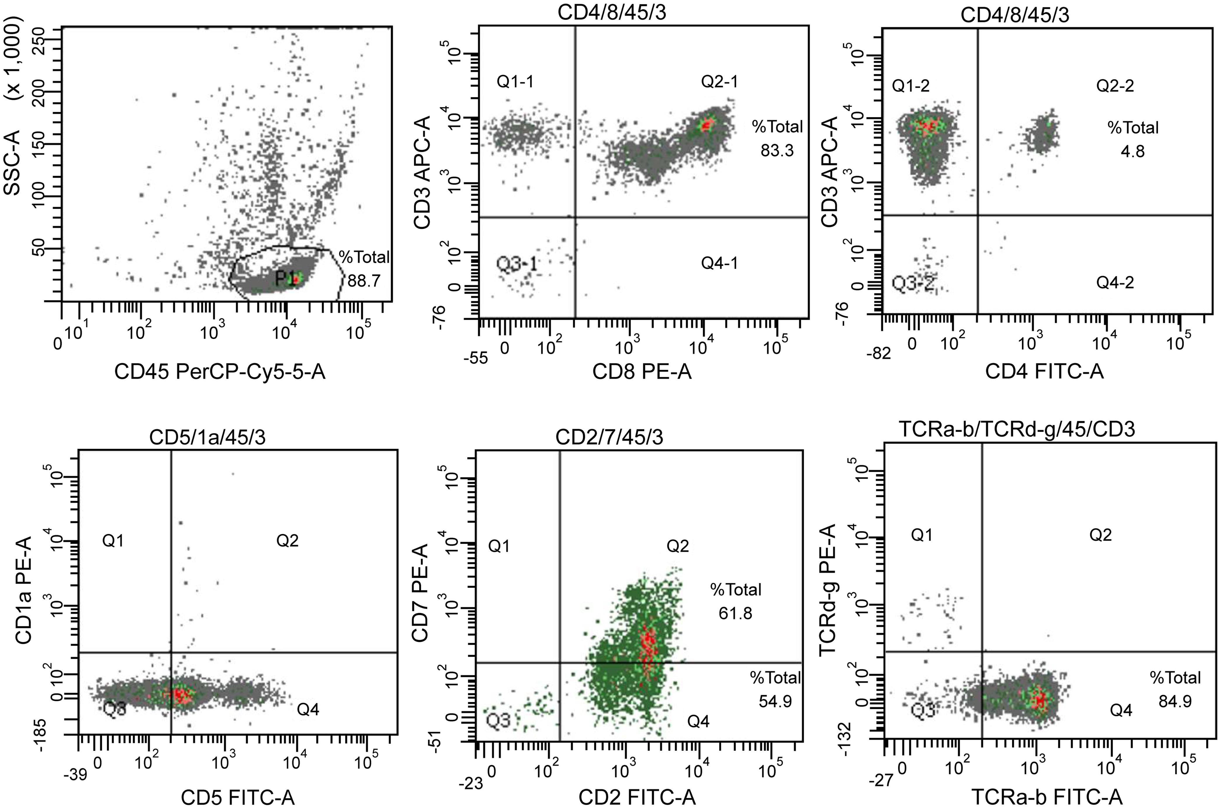 Immunophenotypic analysis of T-large granular lymphocytic leukemia (T-LGLL) by flow cytometry showing the gated lymphocytes are mostly CD8<sup>+</sup> T cells with T-cell receptors (TCR alpha/beta clonality).