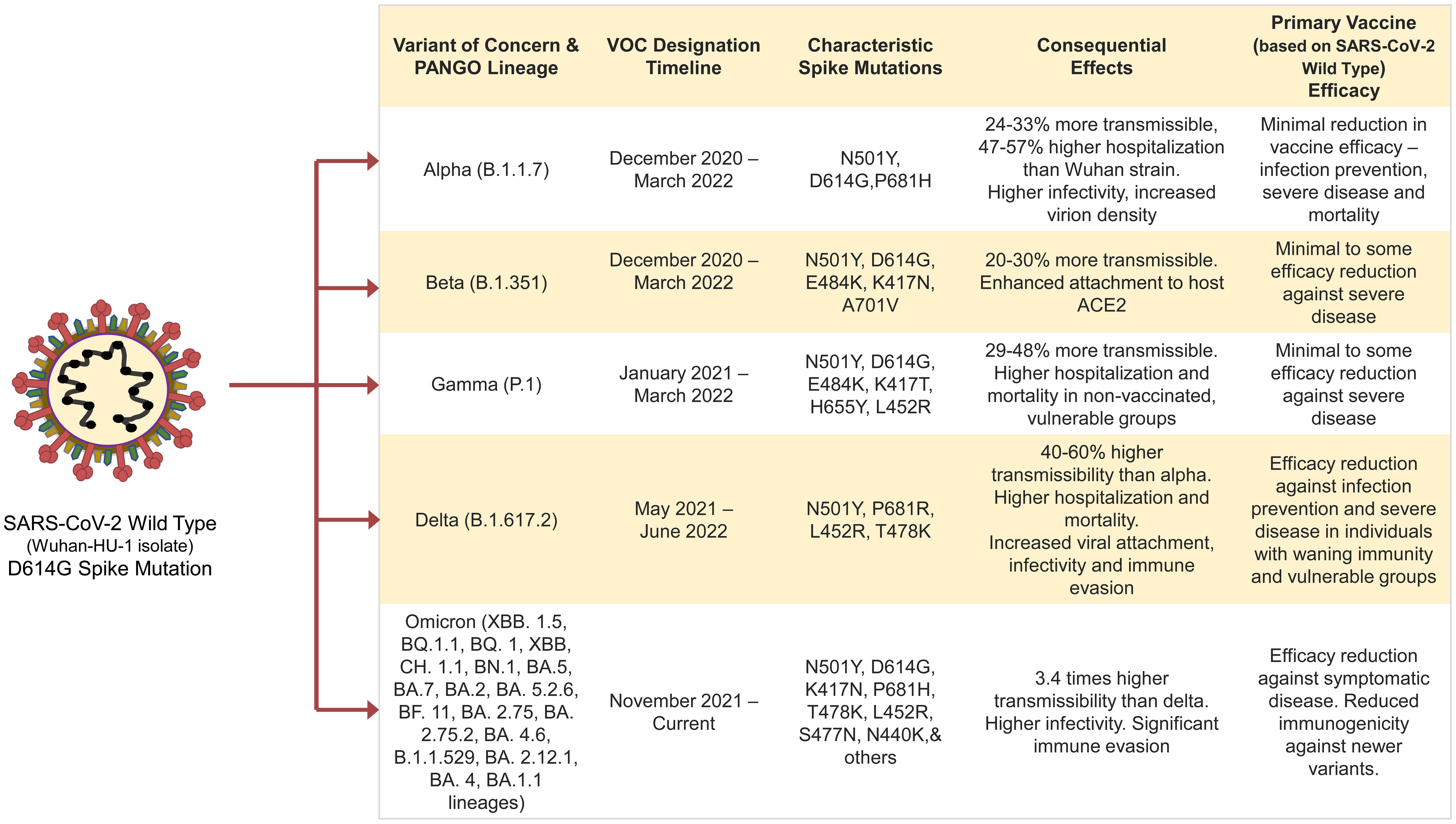 Summary of the SARS-CoV-2 VOCs characteristic spike mutations and efficacy of primary immunization series.