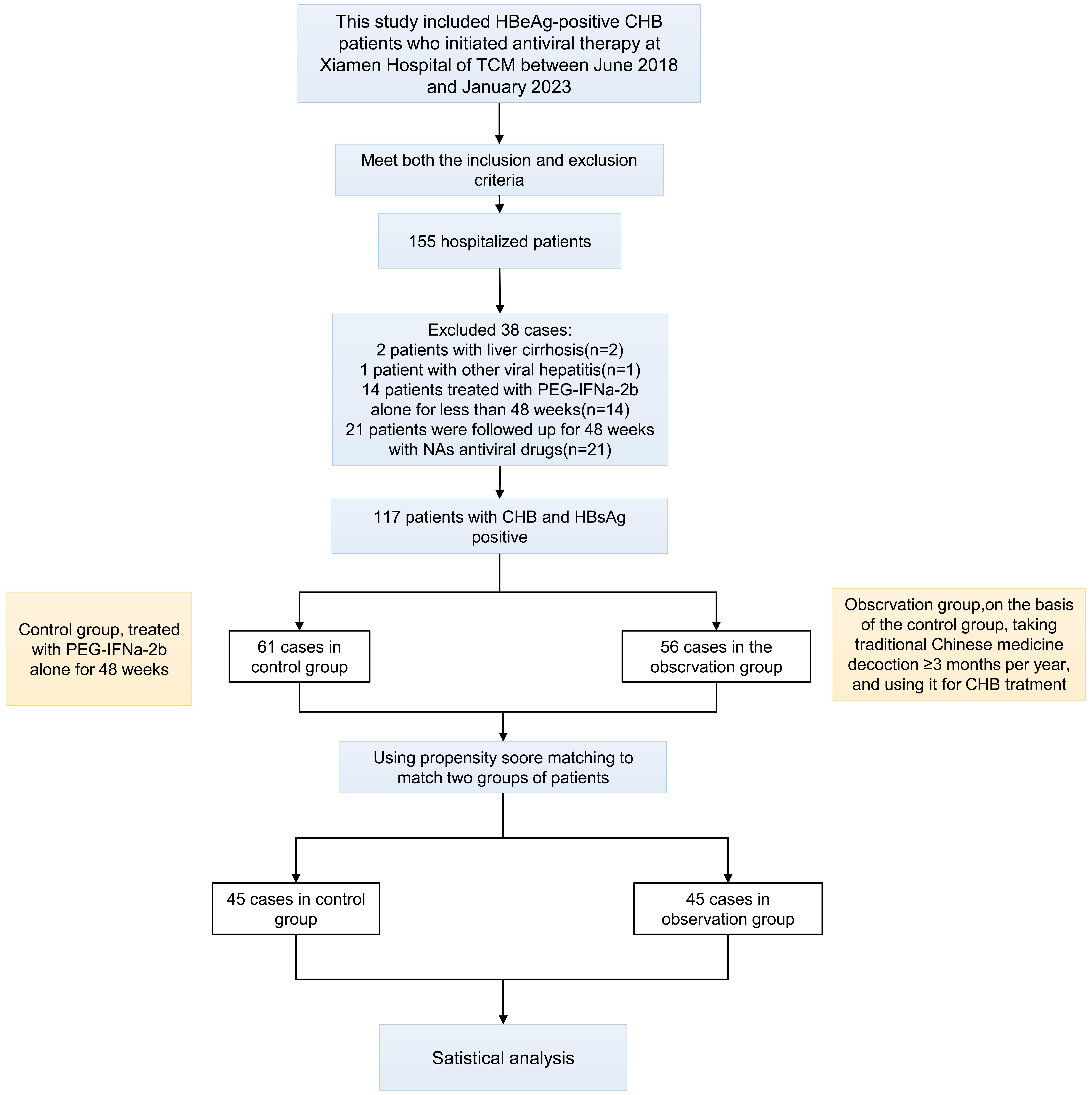 Patient flowchart.