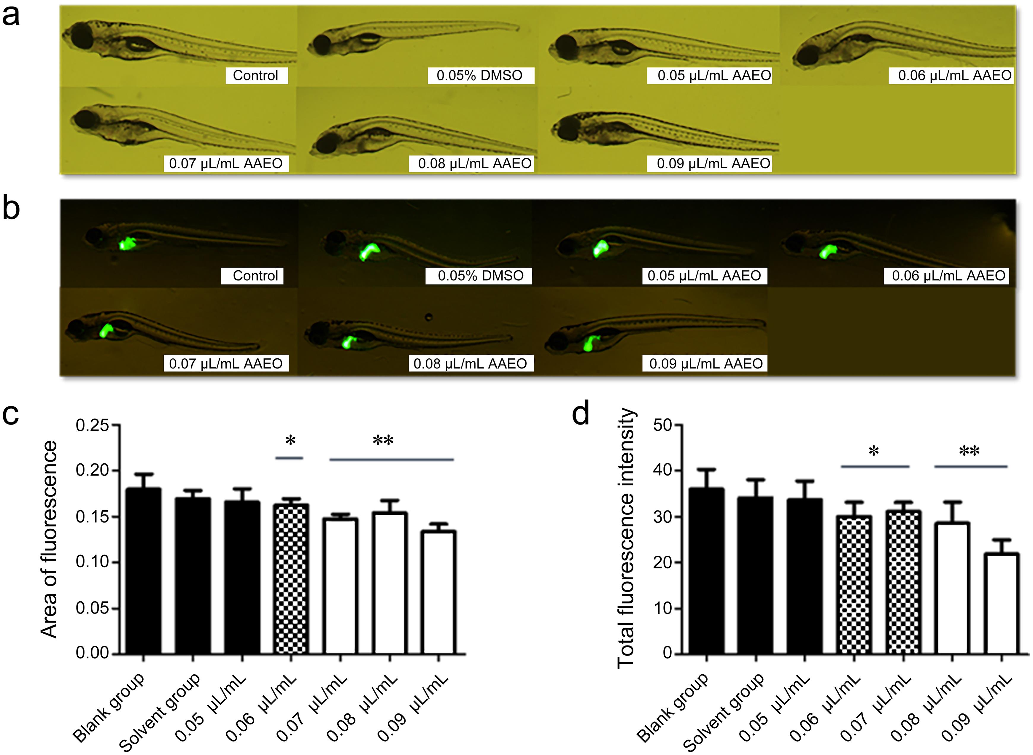 Toxicity range screening of AAEO (n = 6).