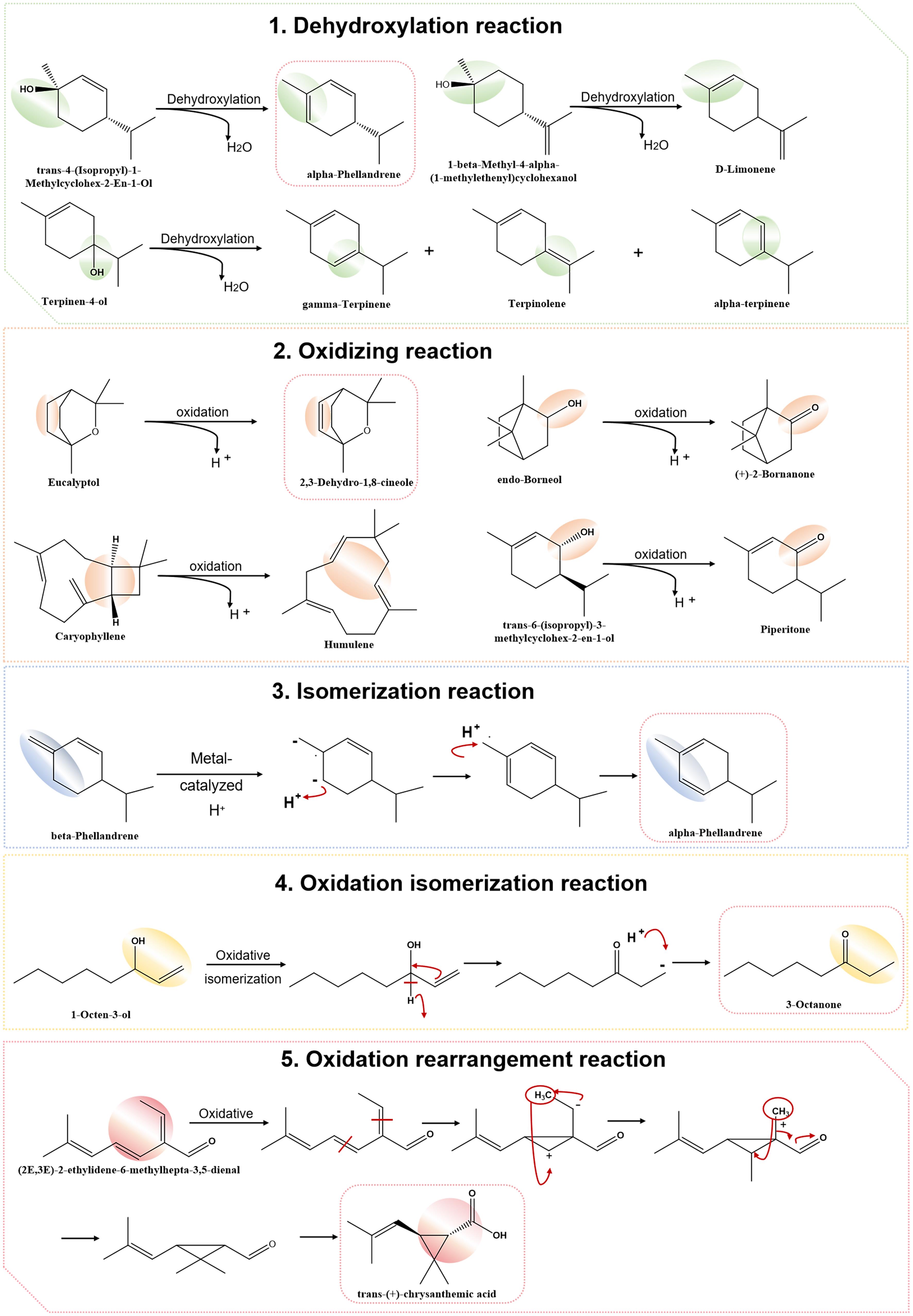 Interconversion of components during storage of AAEO.