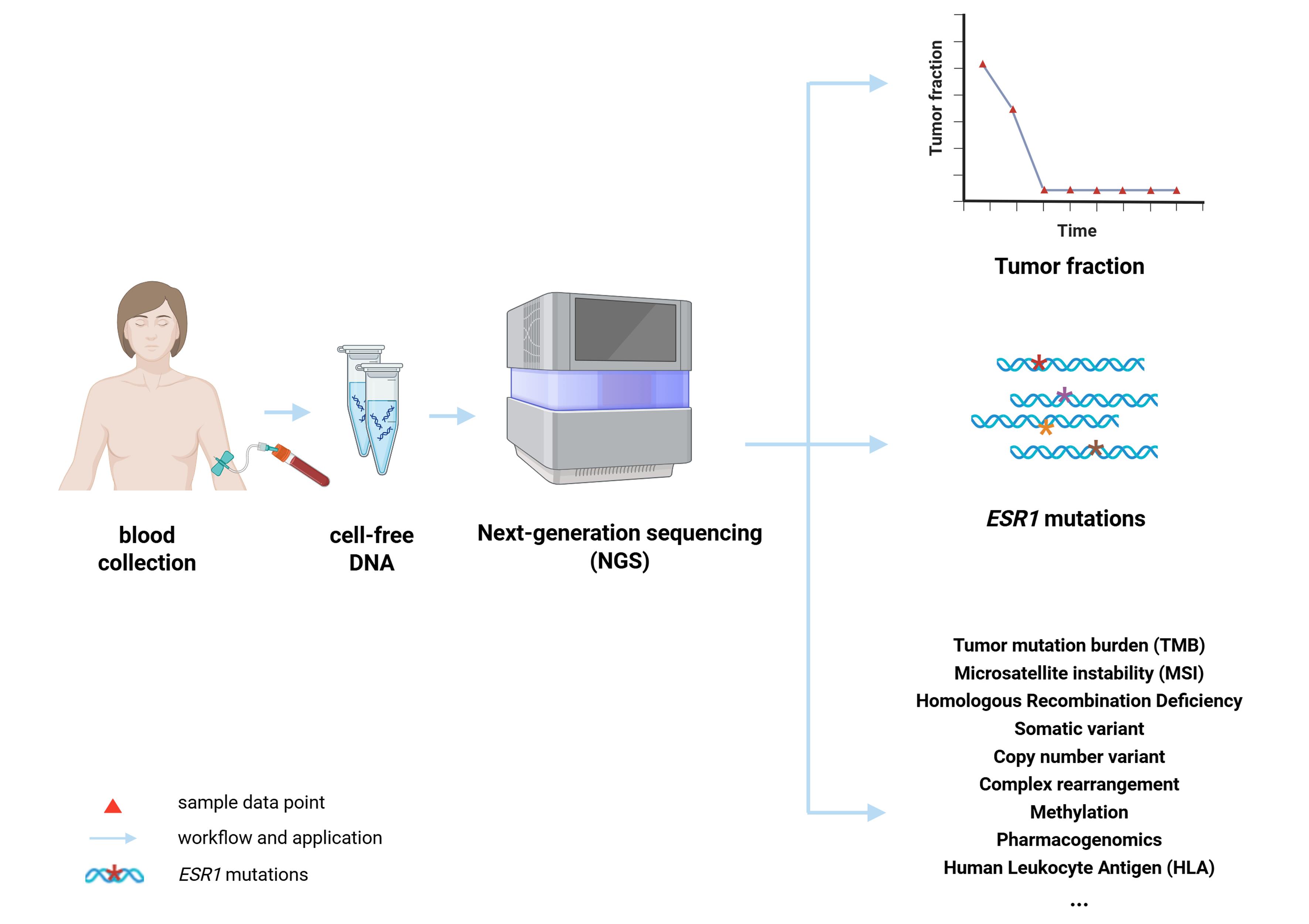 Liquid biopsy testing in breast cancer.