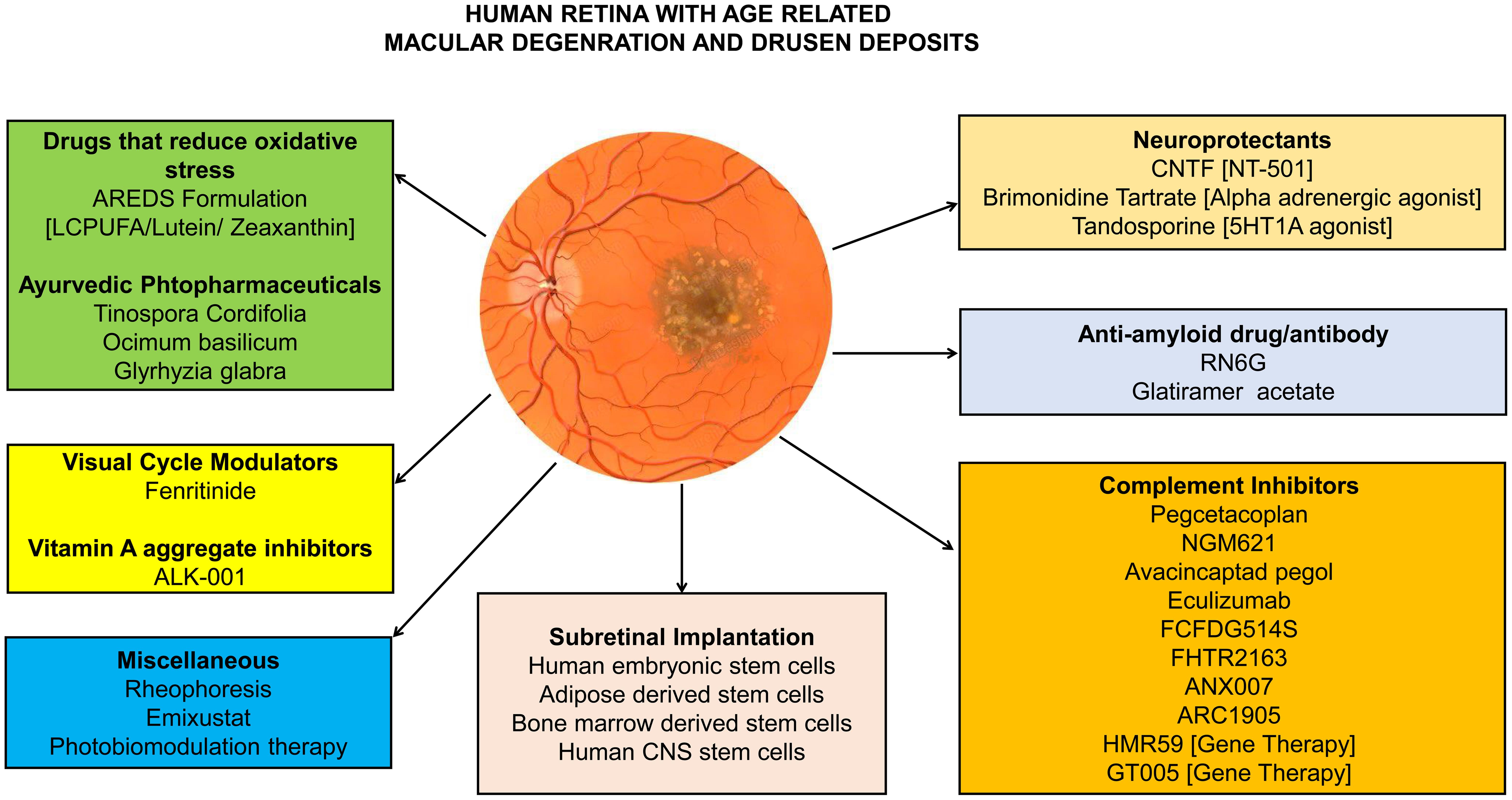Pipeline investigational drugs for dry age related macular degeneration and geographical atrophy.