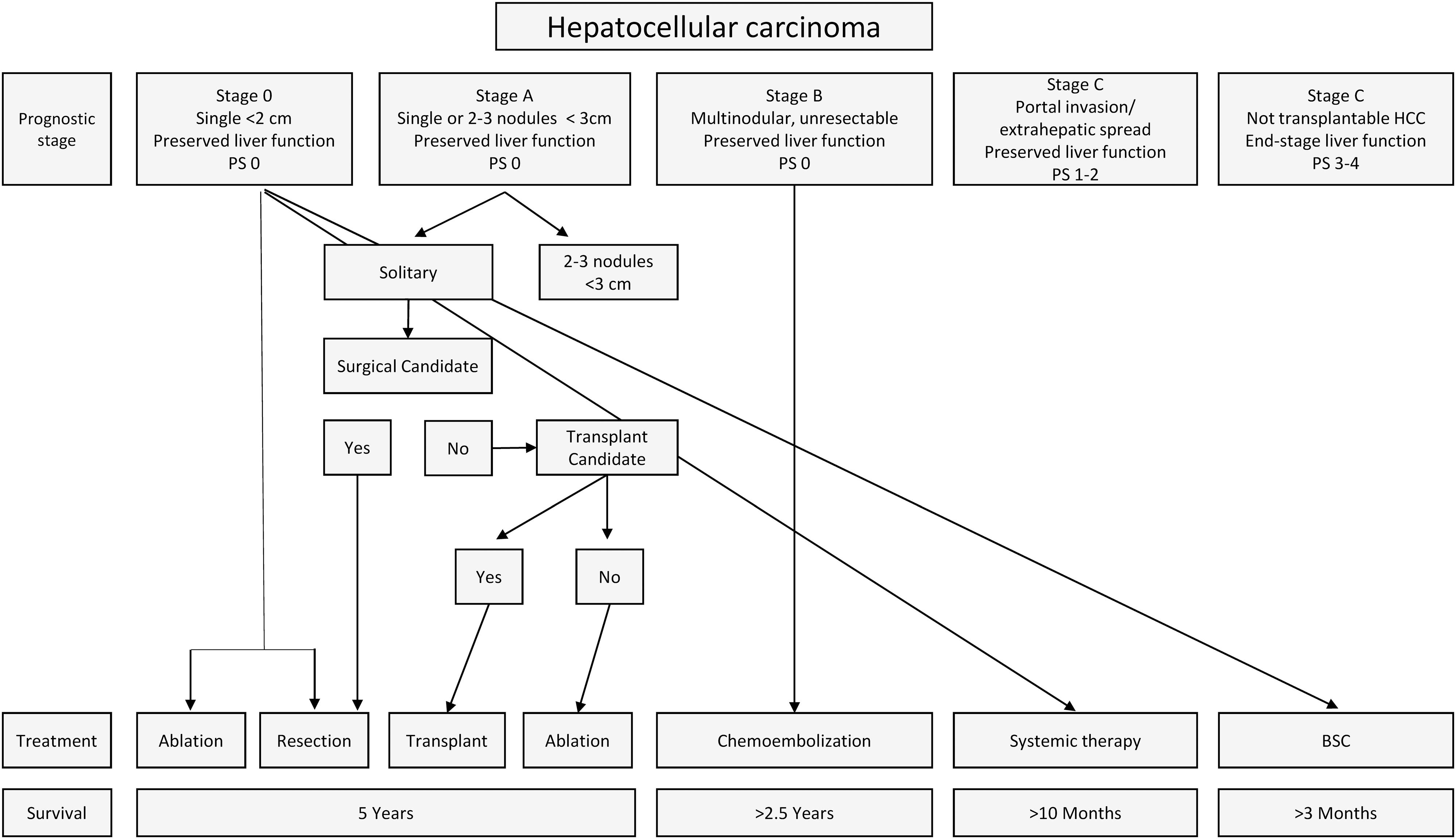 Hepatocellular carcinoma treatment in patients diagnosed with hepatocellular carcinoma.