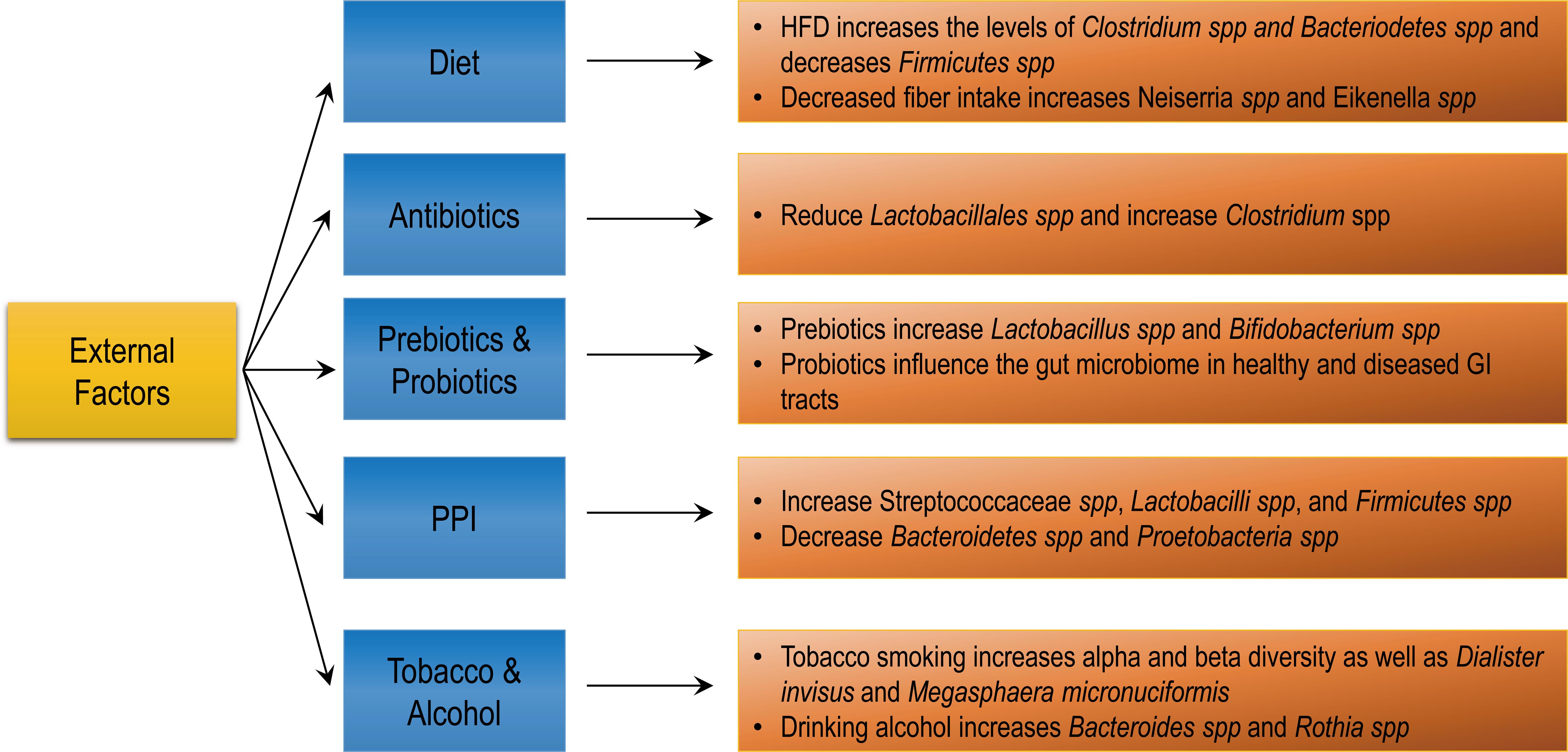 External factors that influence esophageal microbiome.